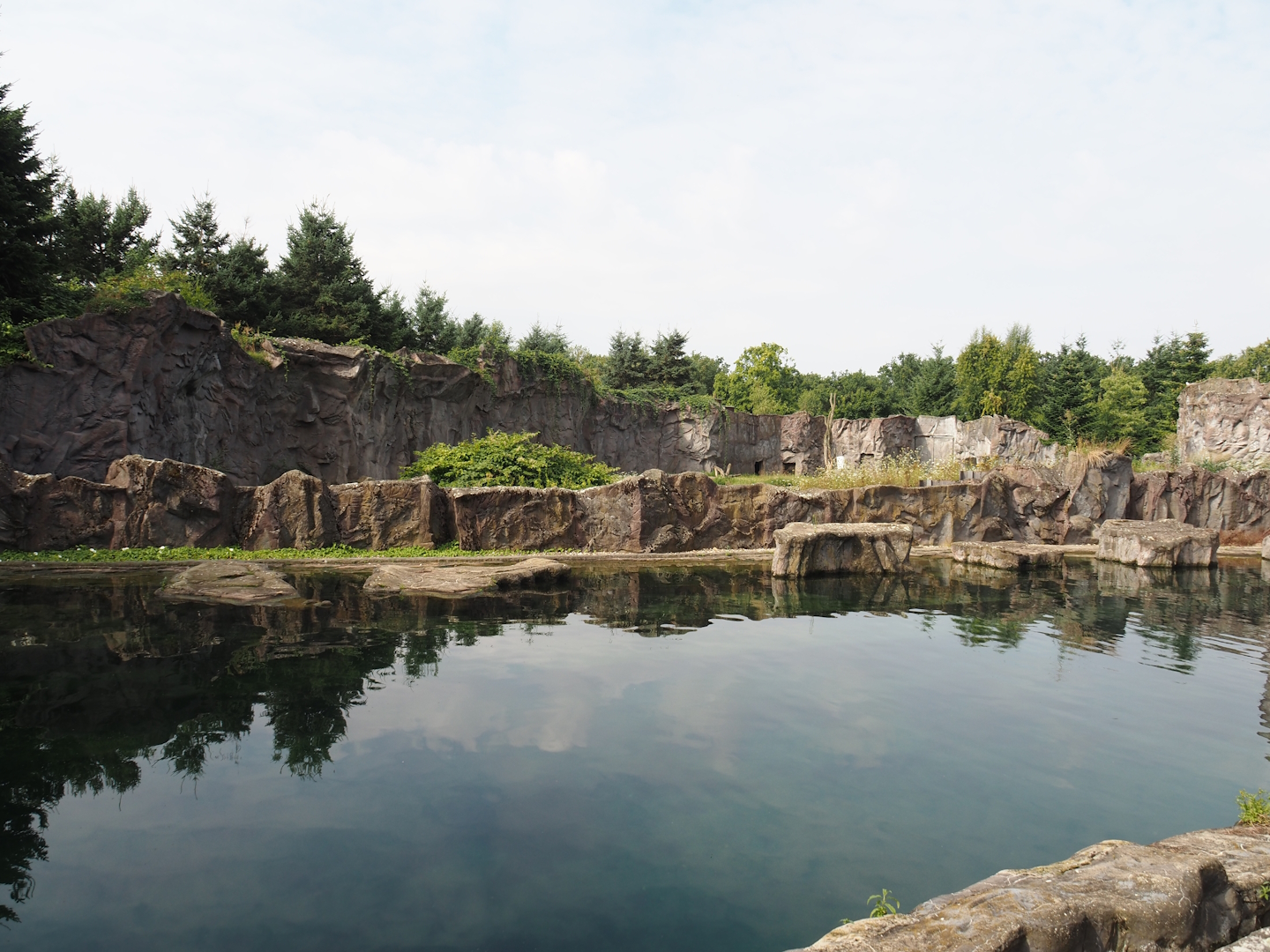 California sea lion exhibit, 2024-08-05