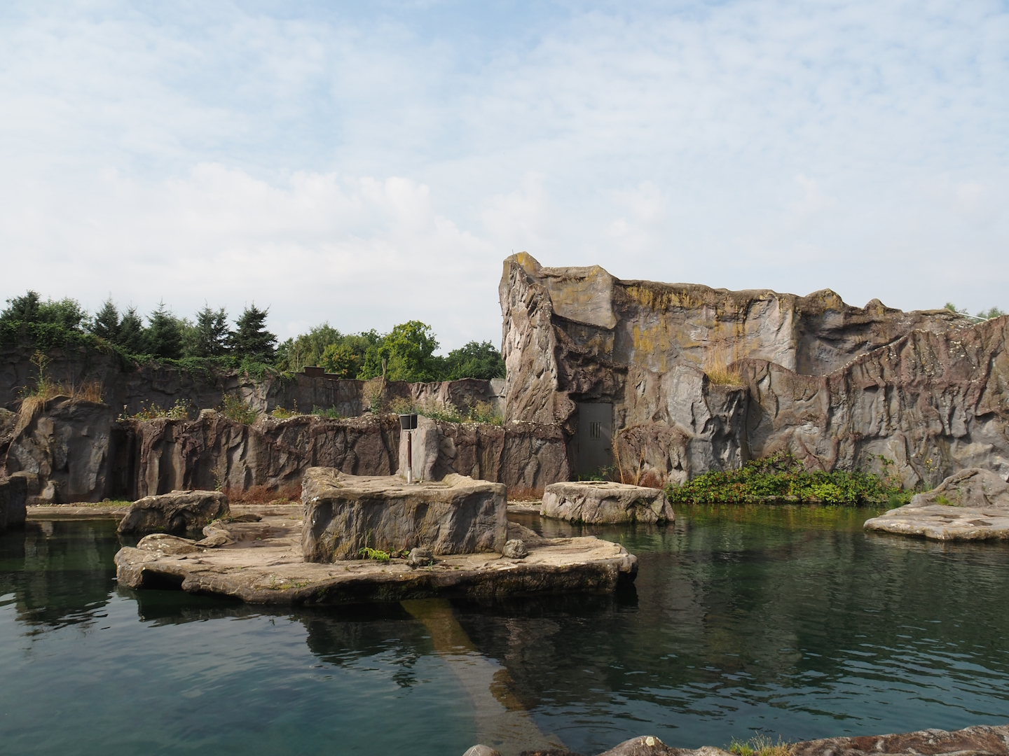 California sea lion exhibit, 2024-08-05
