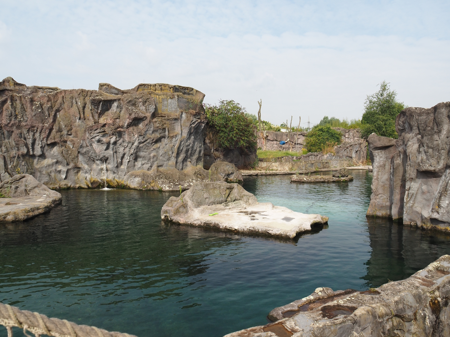 California sea lion exhibit, 2024-08-05
