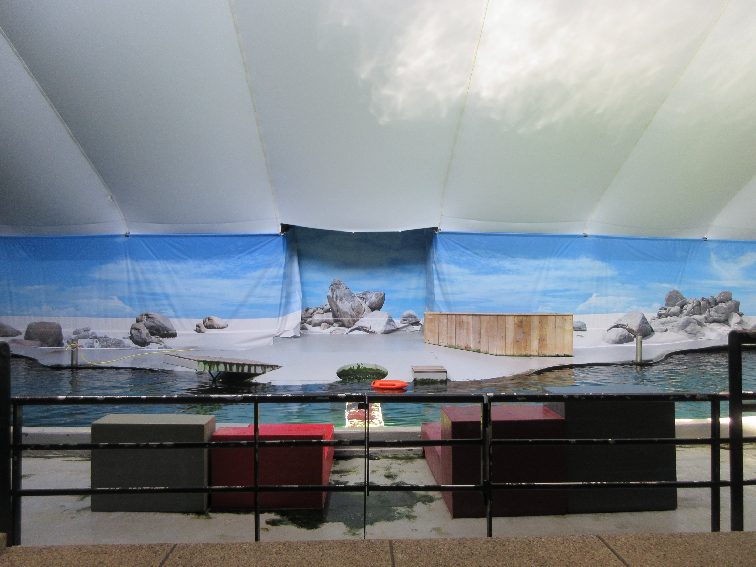 California Sea Lion Exhibit (50% of pool is shown)