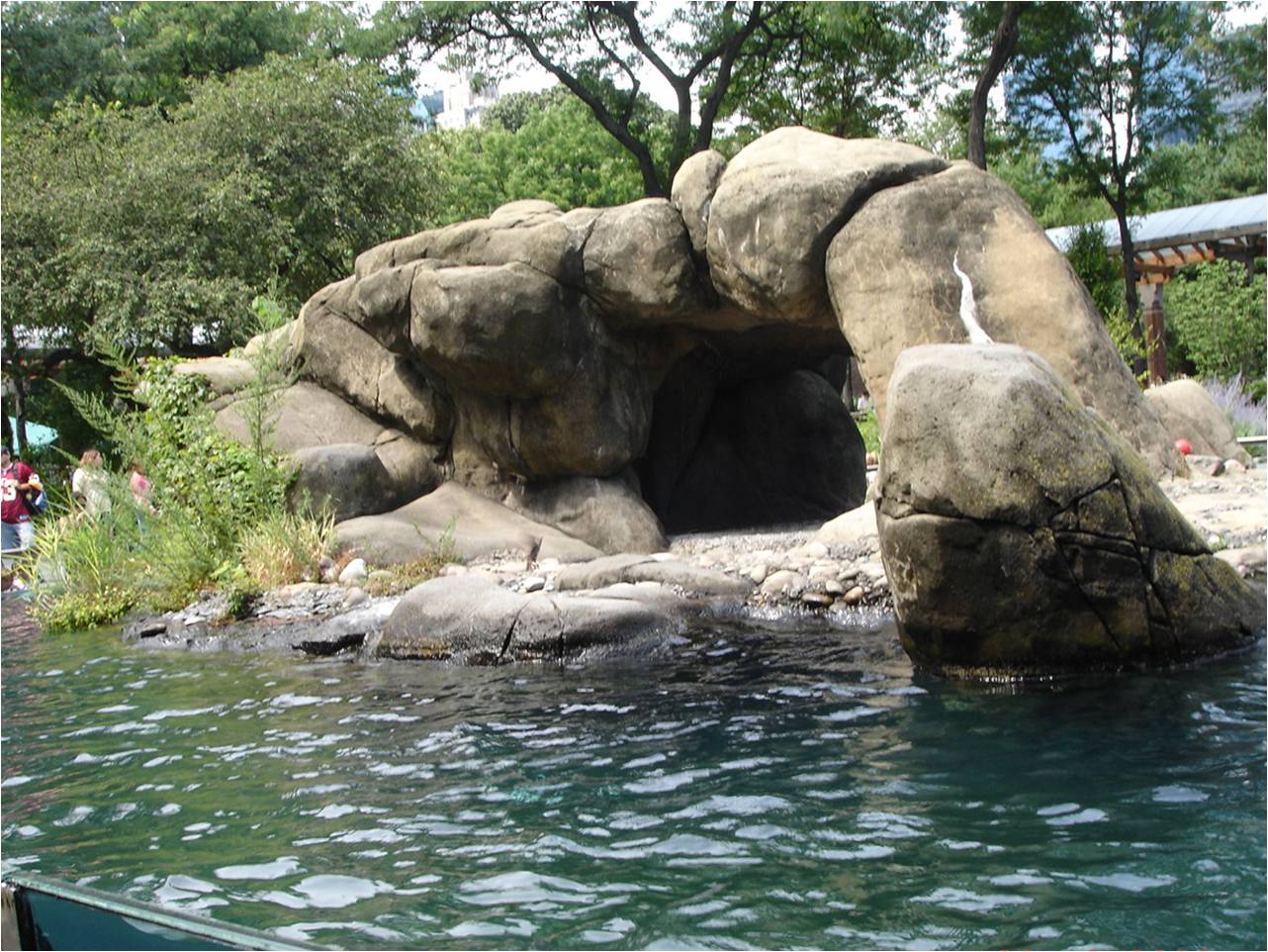 California Sea Lion Exhibit at Central Park Zoo, 10/08/08