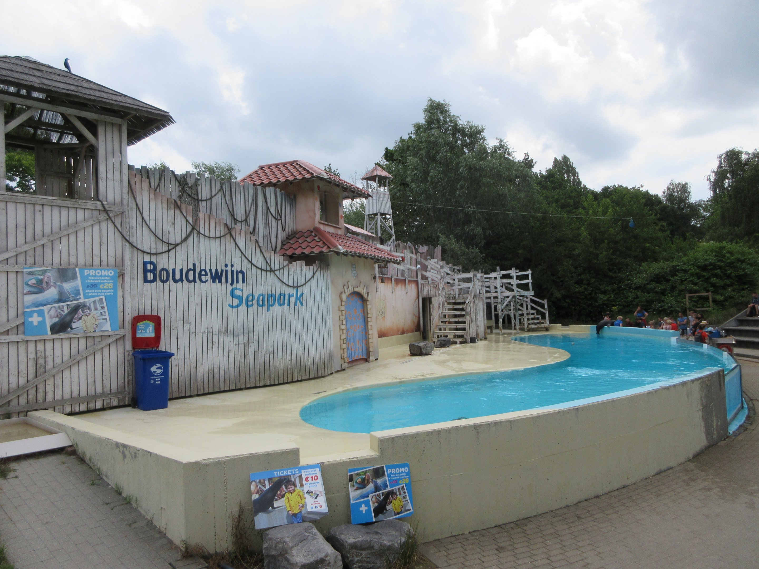 California Sea Lion Exhibit (in small stadium)