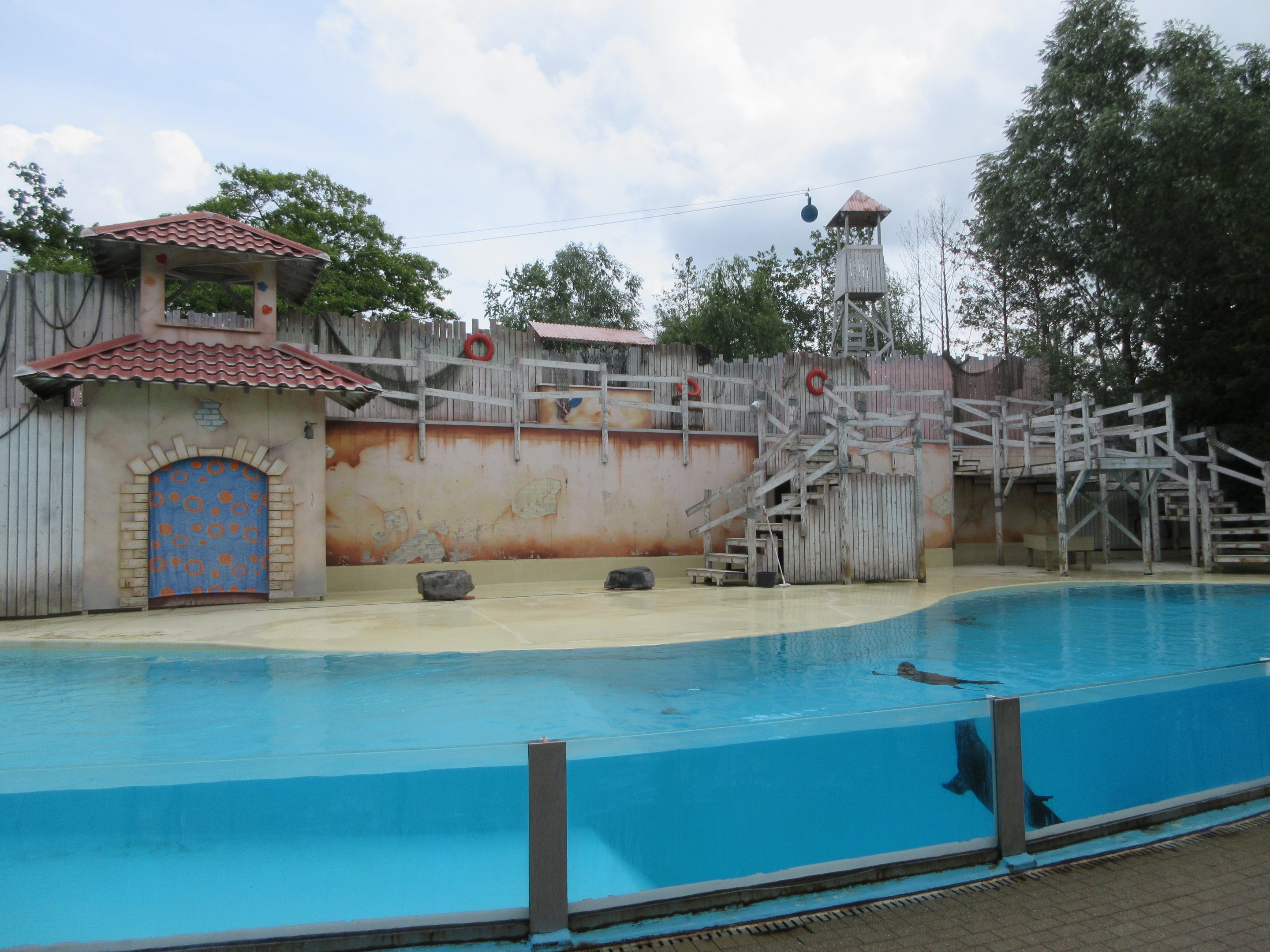 California Sea Lion Exhibit (in small stadium)