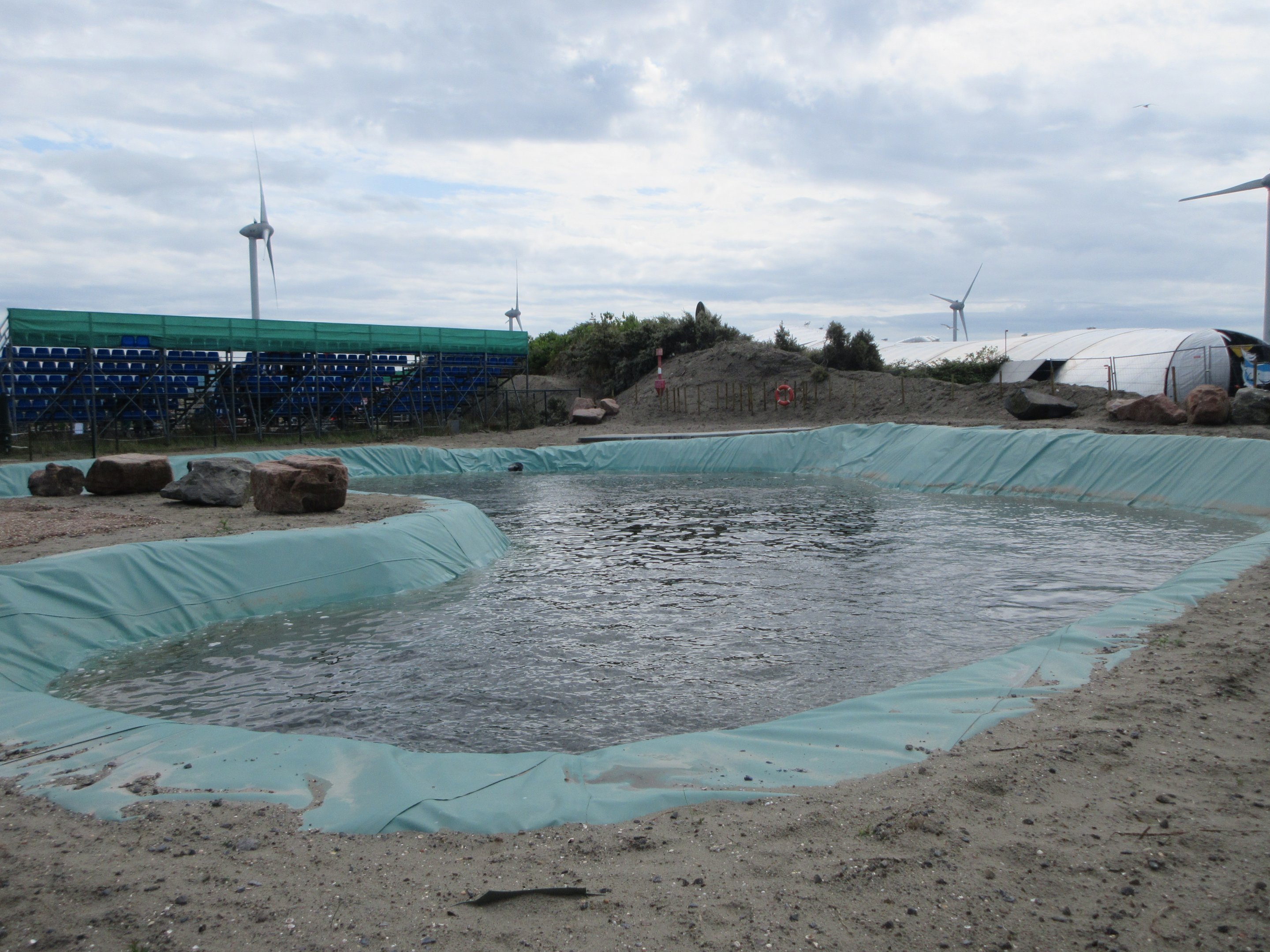 California Sea Lion Exhibit (looks home-made!)