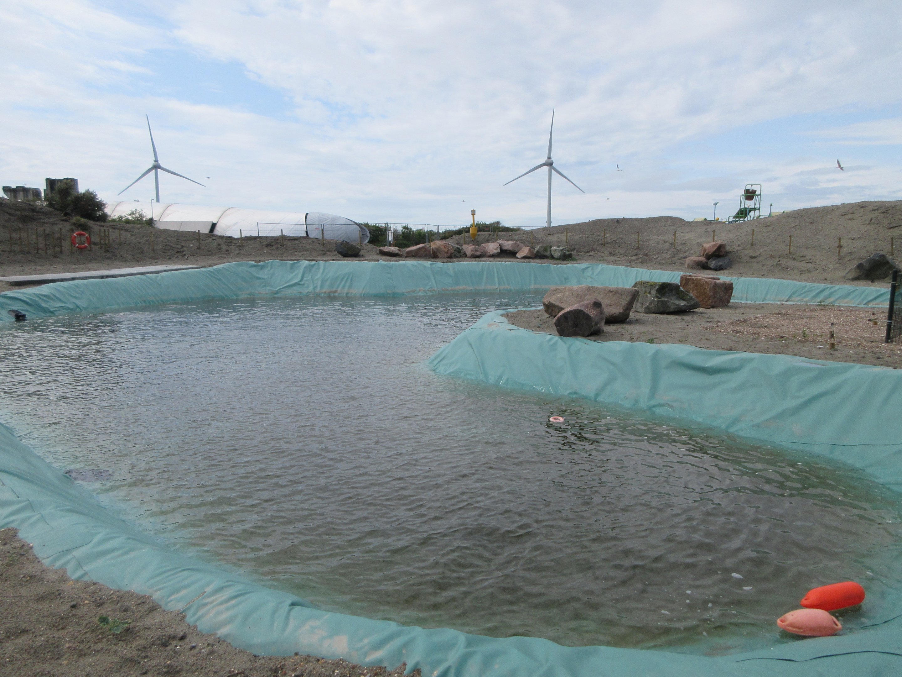 California Sea Lion Exhibit (looks home-made!)