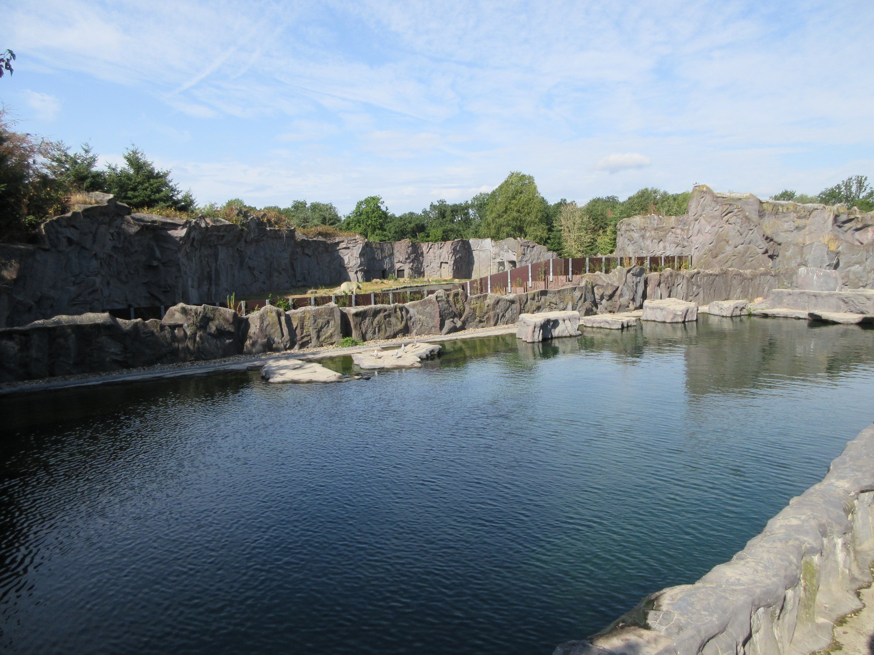 California Sea Lion Exhibit (Polar Bear in background)