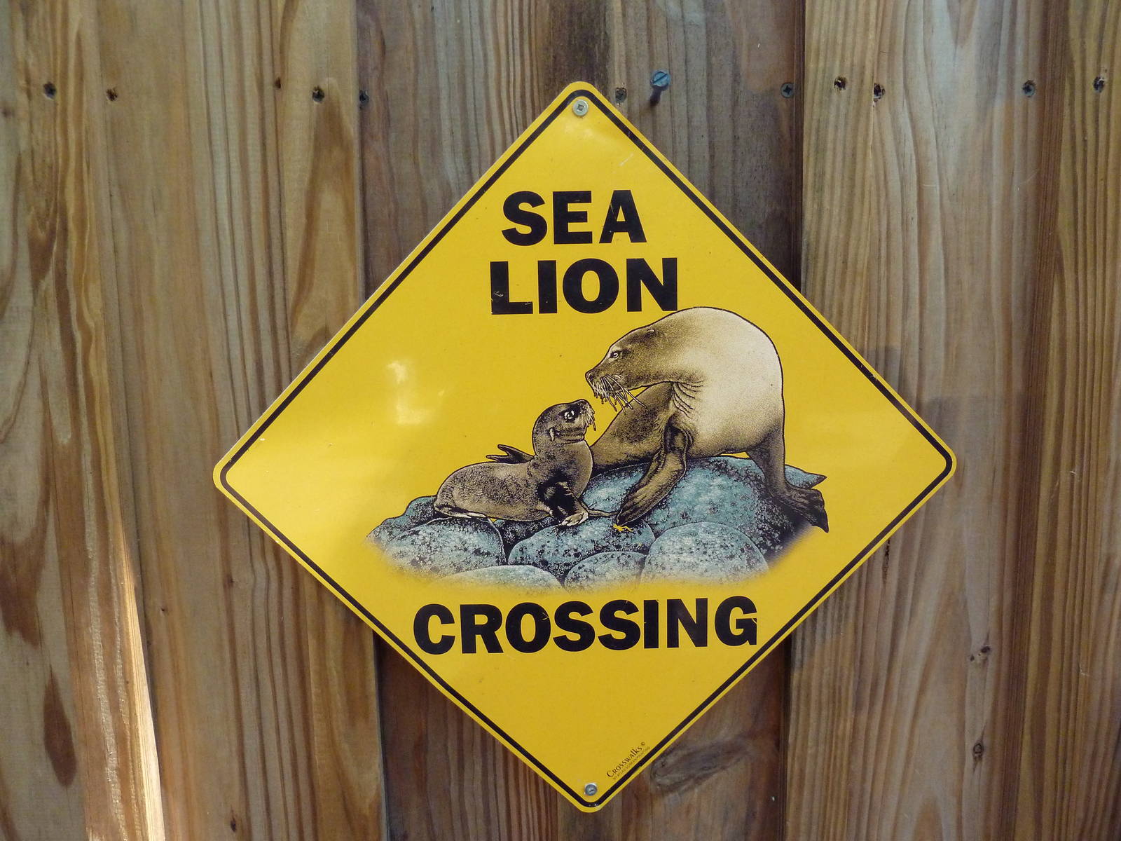 California Sea Lion Exhibit - Sign