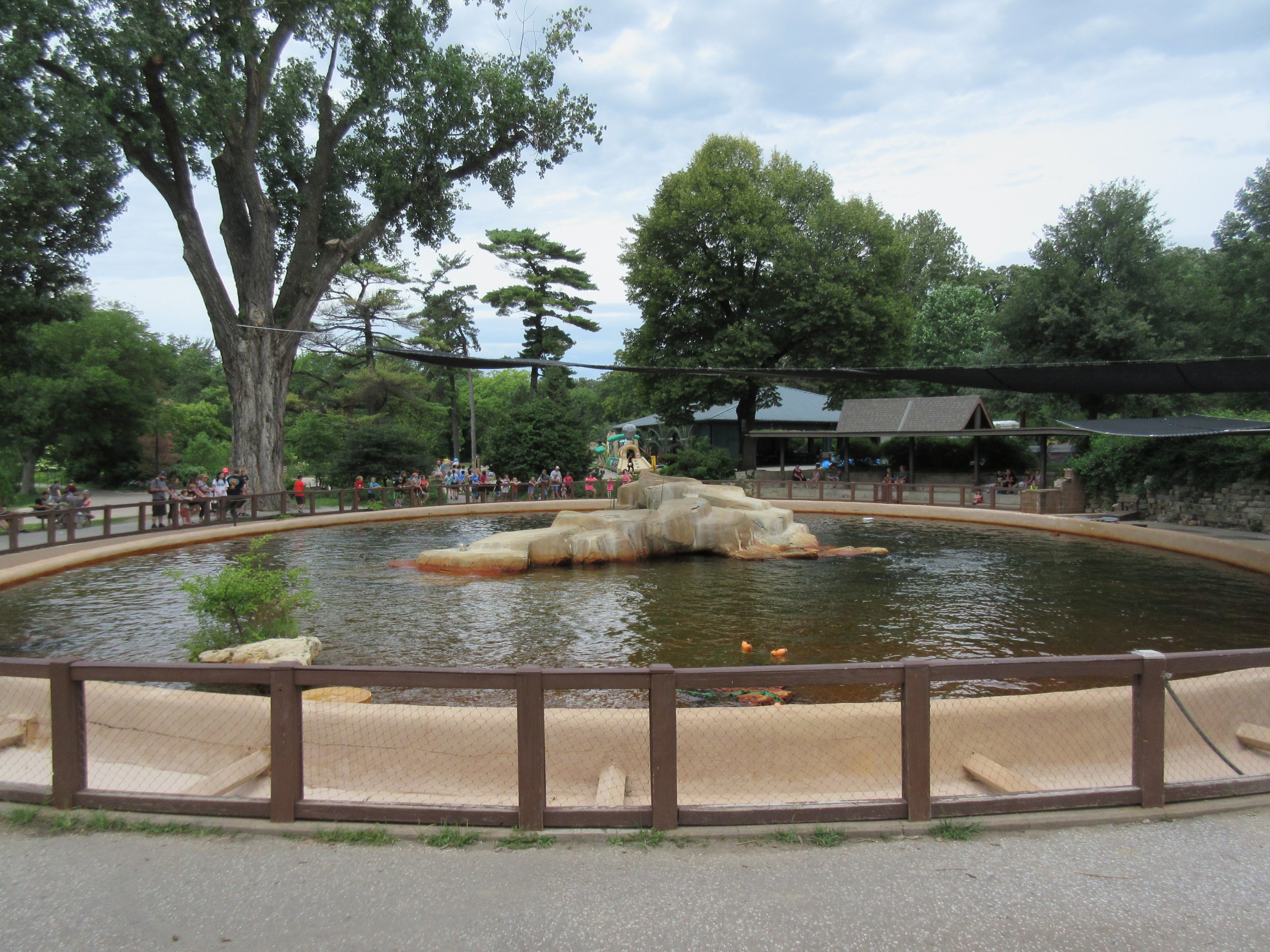 California Sea Lion Exhibit (to be demolished in 2020)