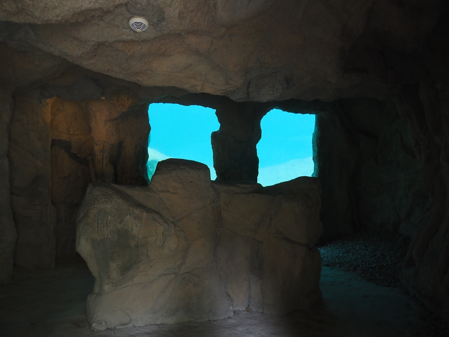 California sea lion exhibit underwater viewing cave, 2024-08-05