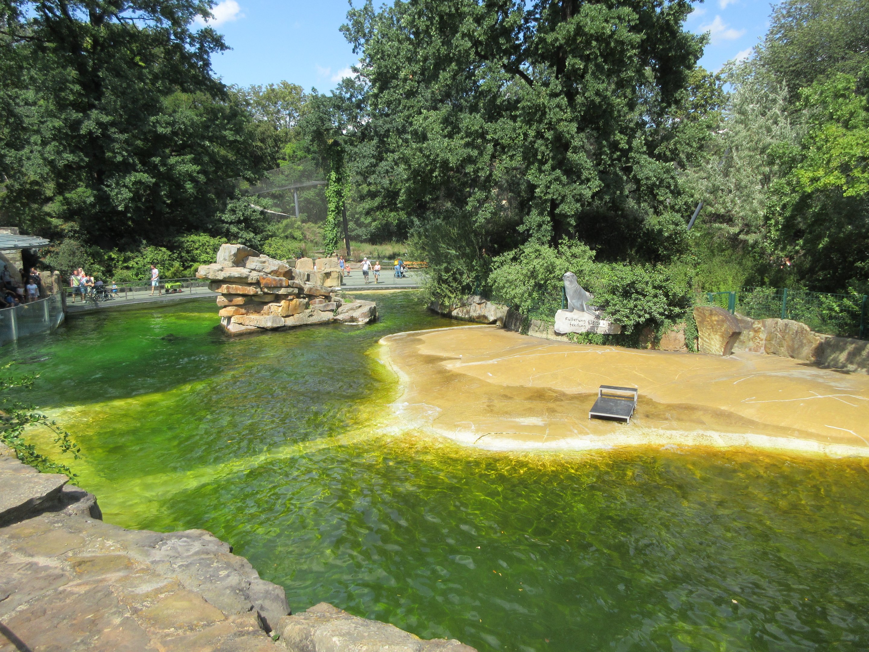 California Sea Lion Exhibit (with wave machine)
