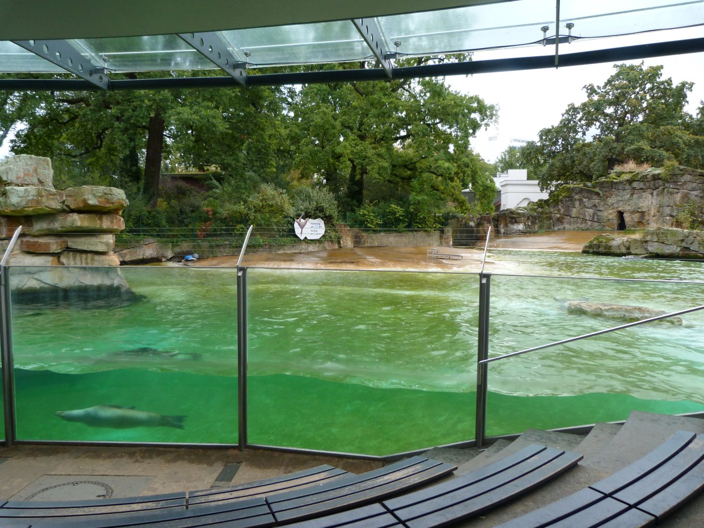 California sea lion exhibit -Zoologischer Garten Berlin (2024)