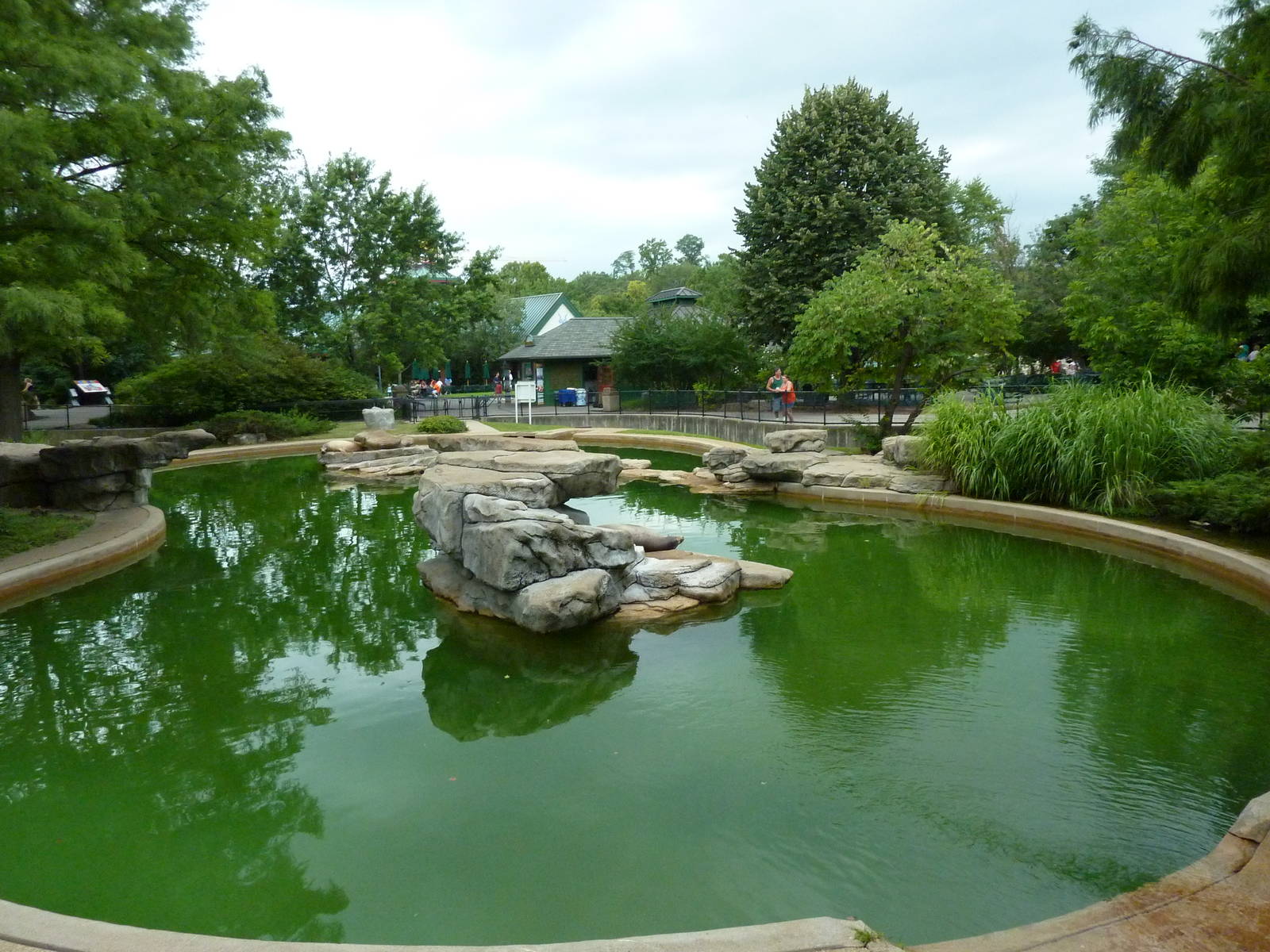 California Sea Lion Exhibit