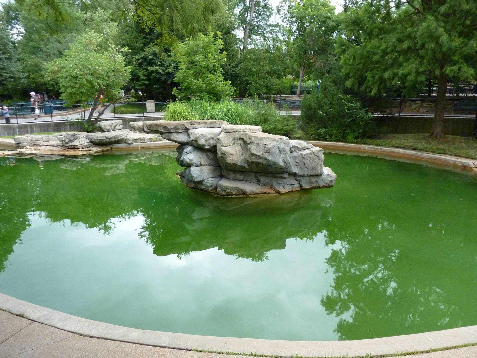 California Sea Lion Exhibit