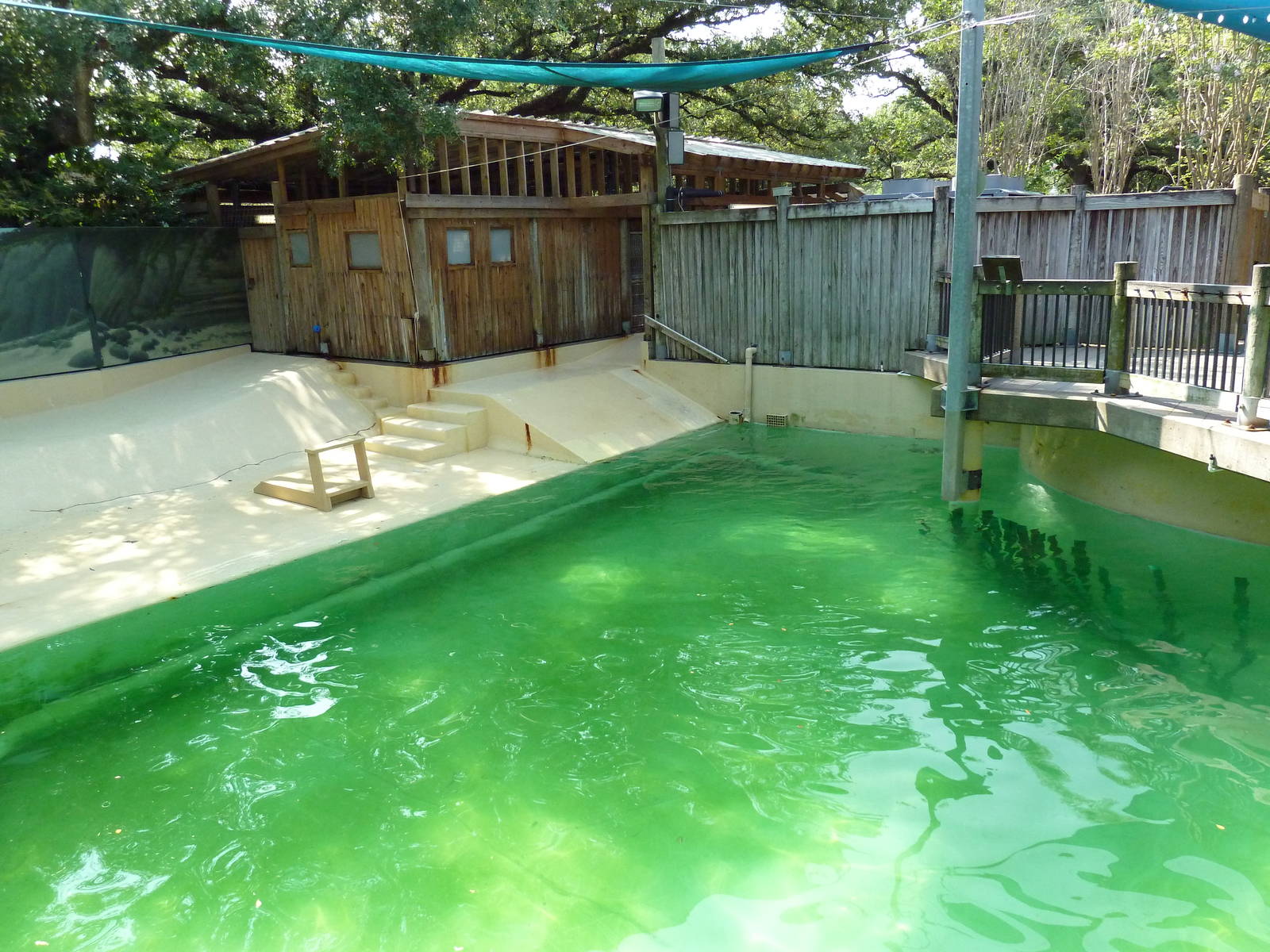 California Sea Lion Exhibit