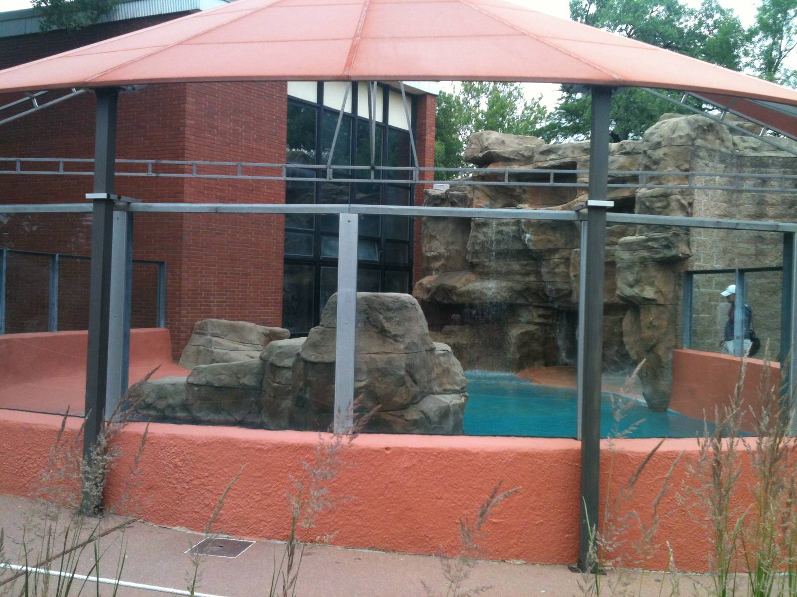 California Sea Lion Exhibit