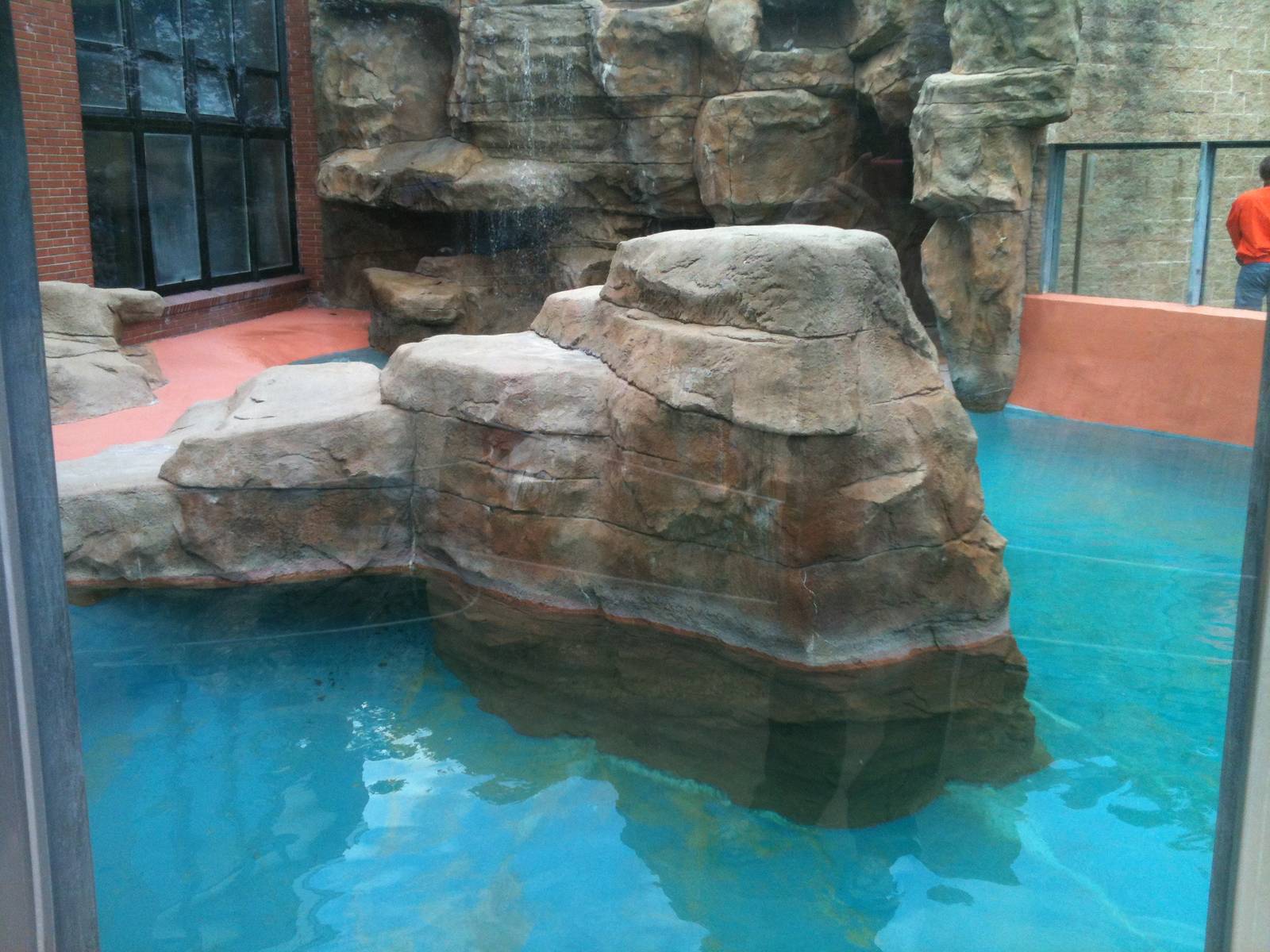 California Sea Lion Exhibit