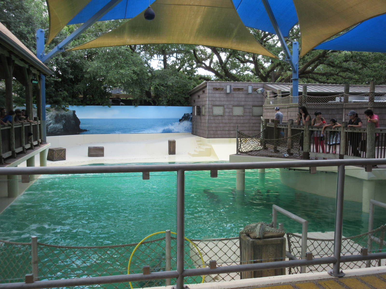 California Sea Lion Exhibit