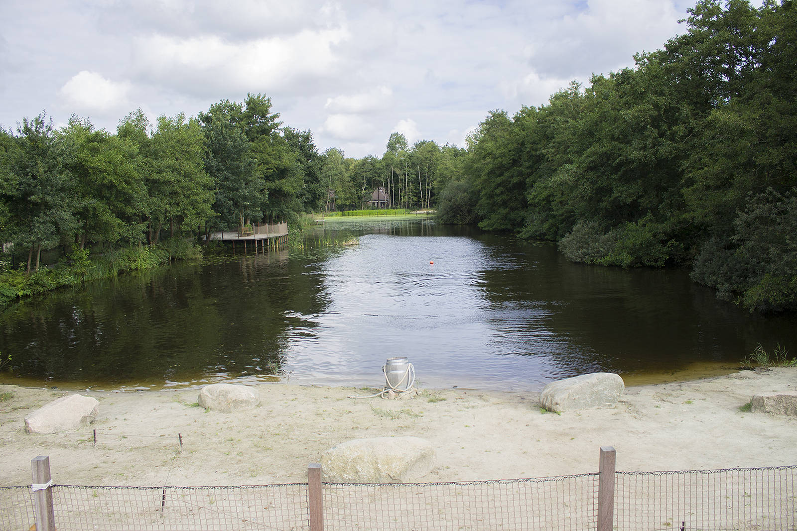 California sea lion exhibit