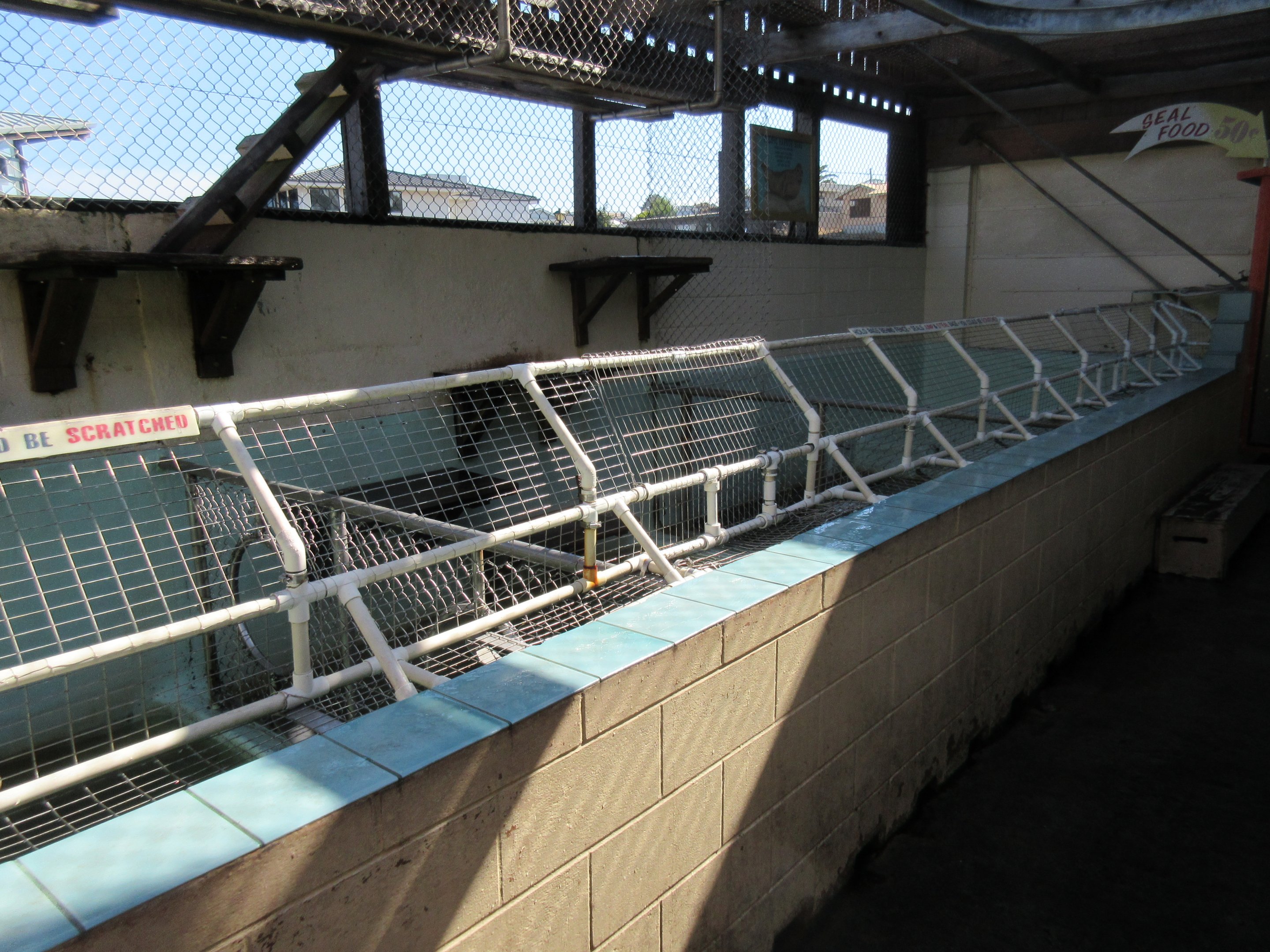 California Sea Lion Exhibit