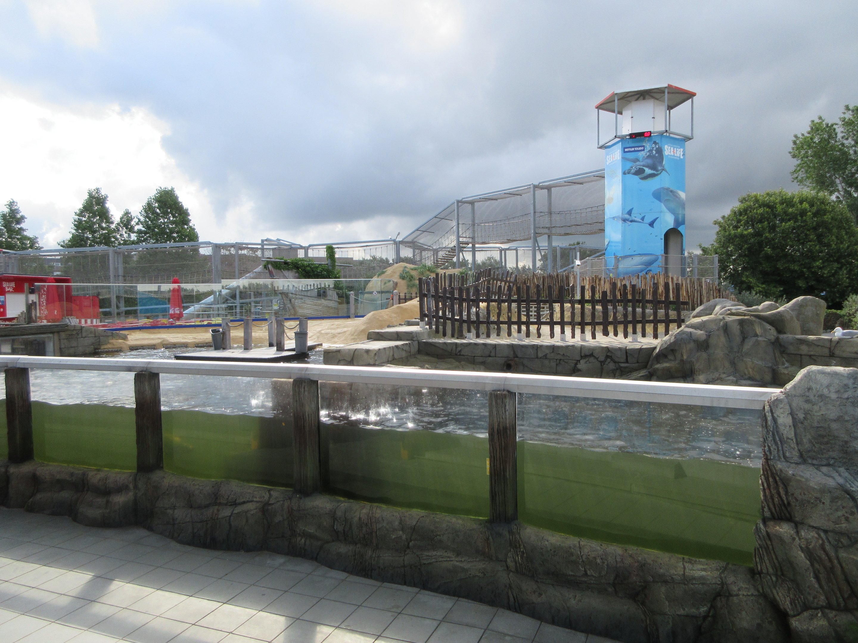 California Sea Lion Exhibit