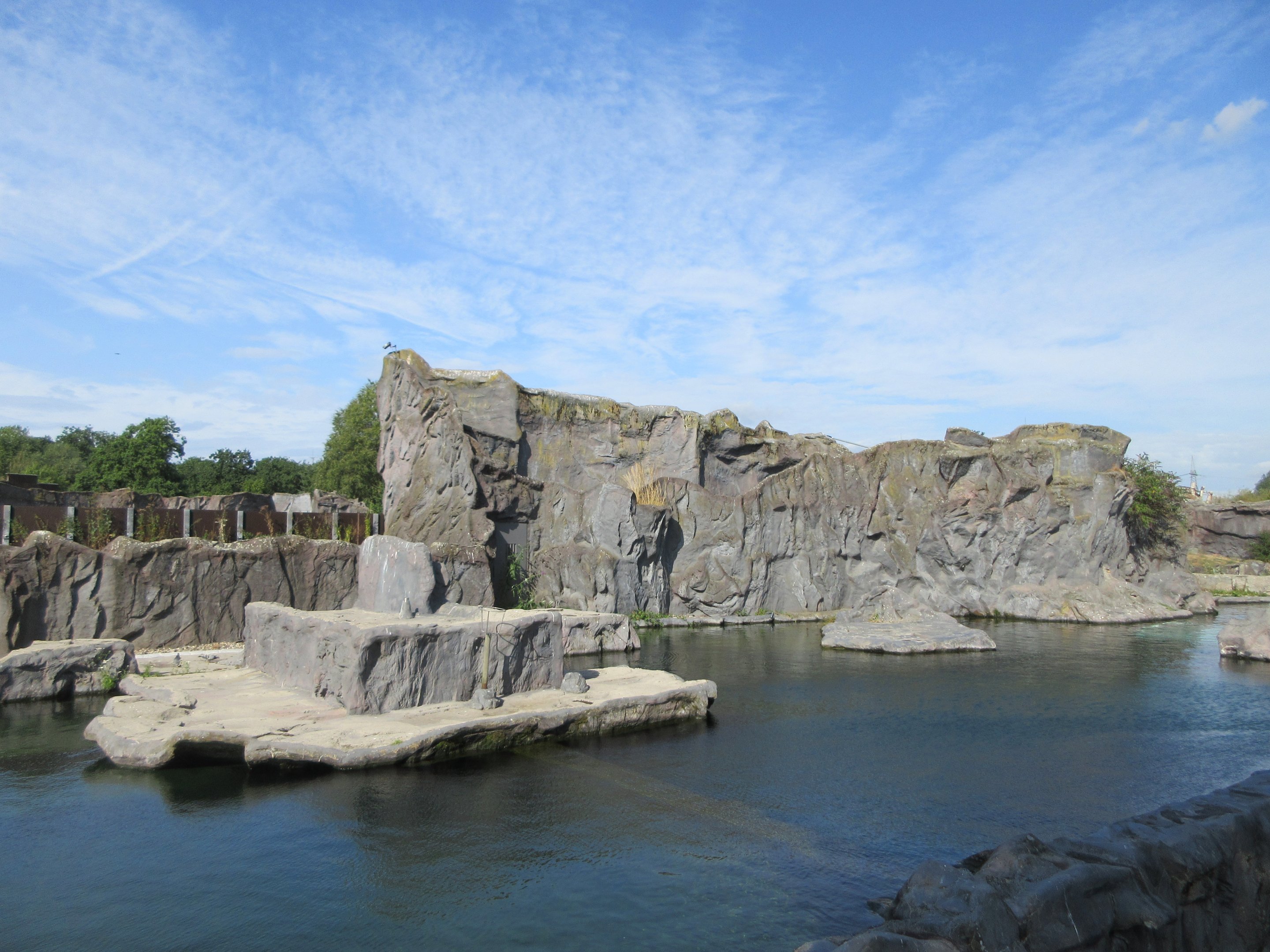 California Sea Lion Exhibit