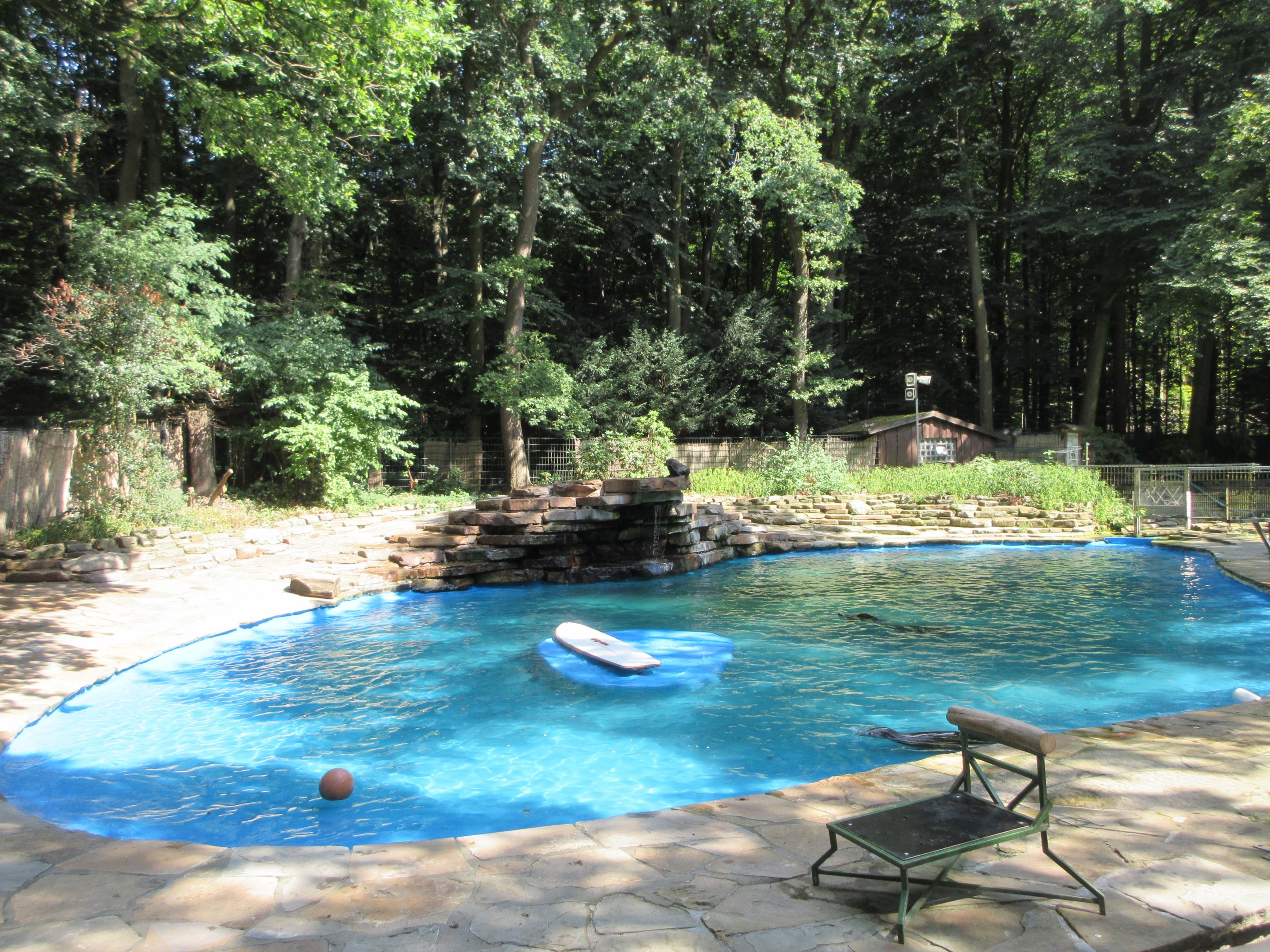California Sea Lion Exhibit