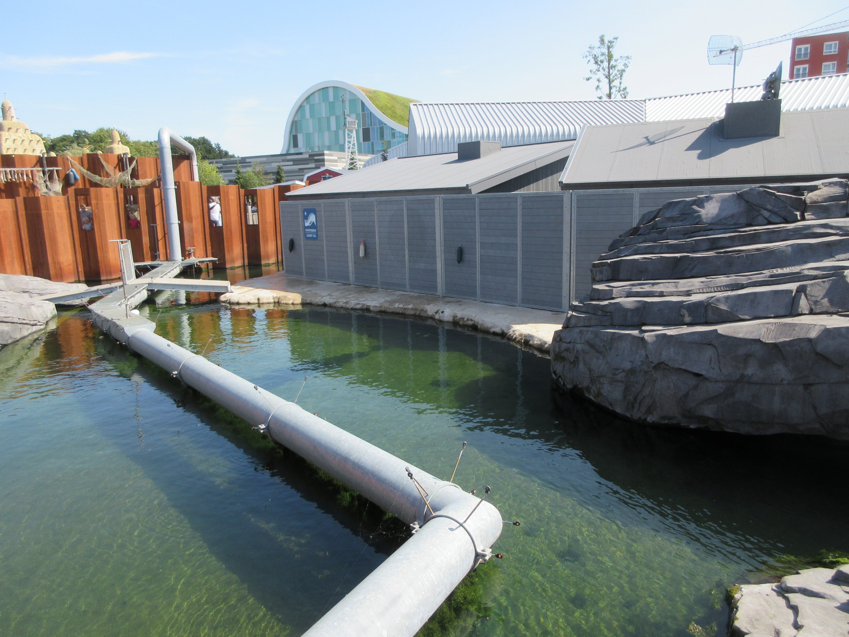 California Sea Lion Exhibit