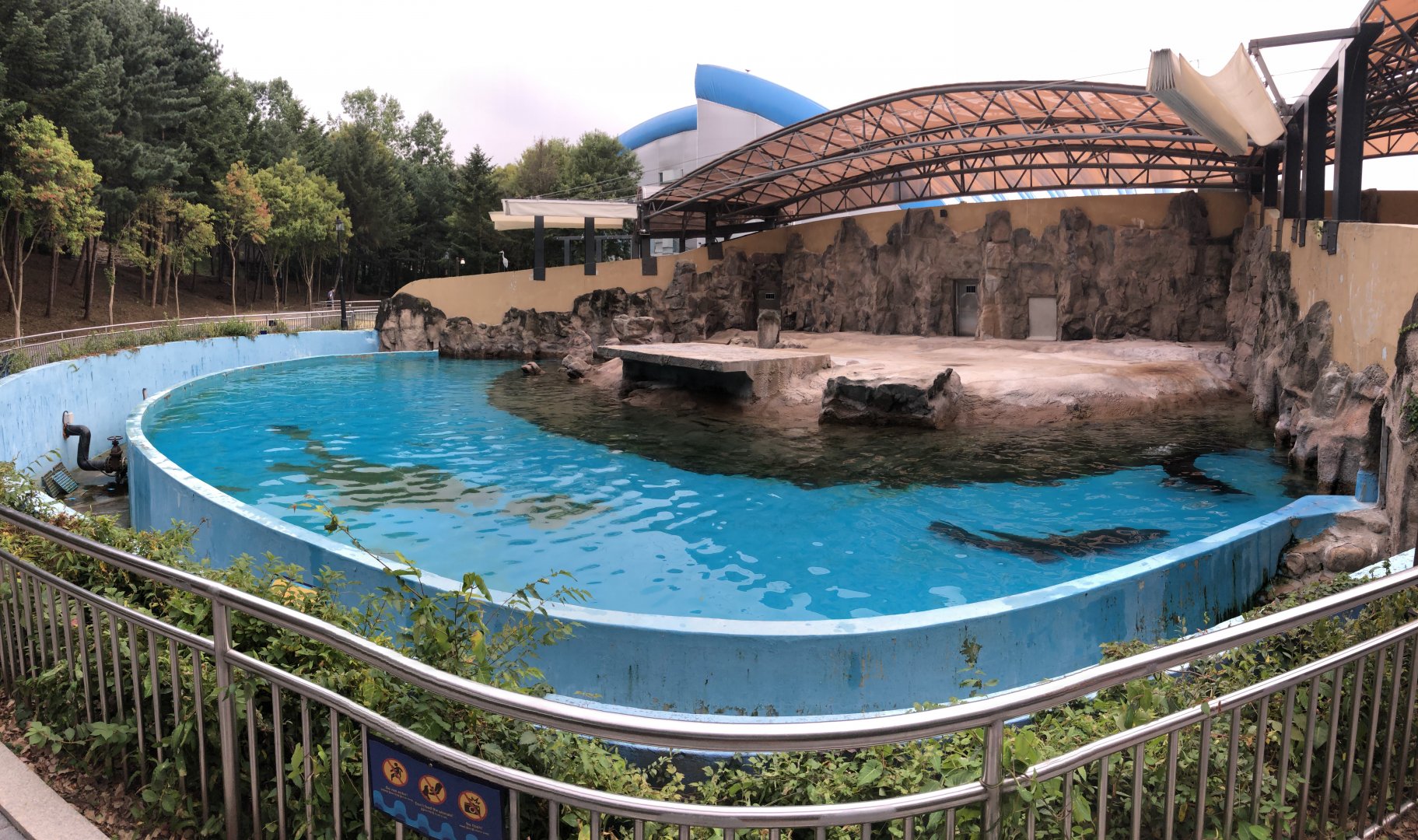 California Sea Lion Exhibit