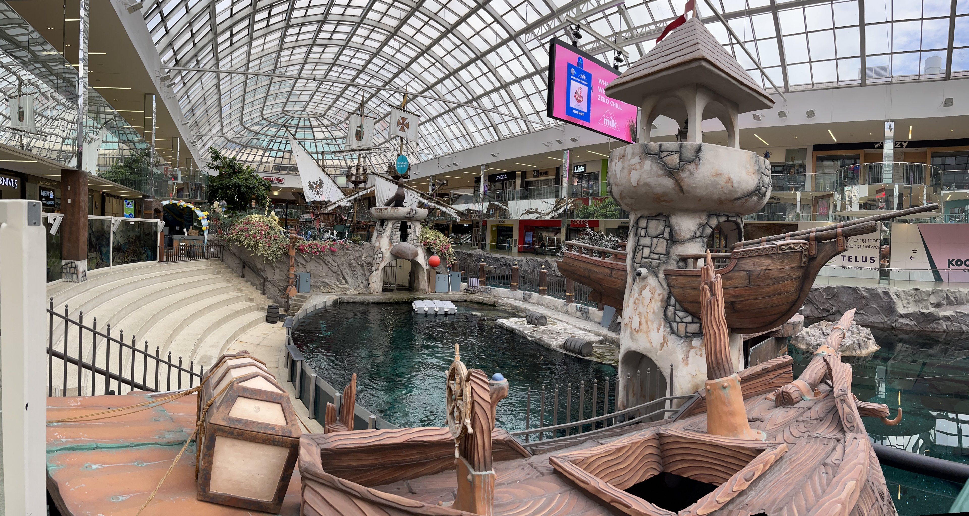 California Sea Lion Exhibit