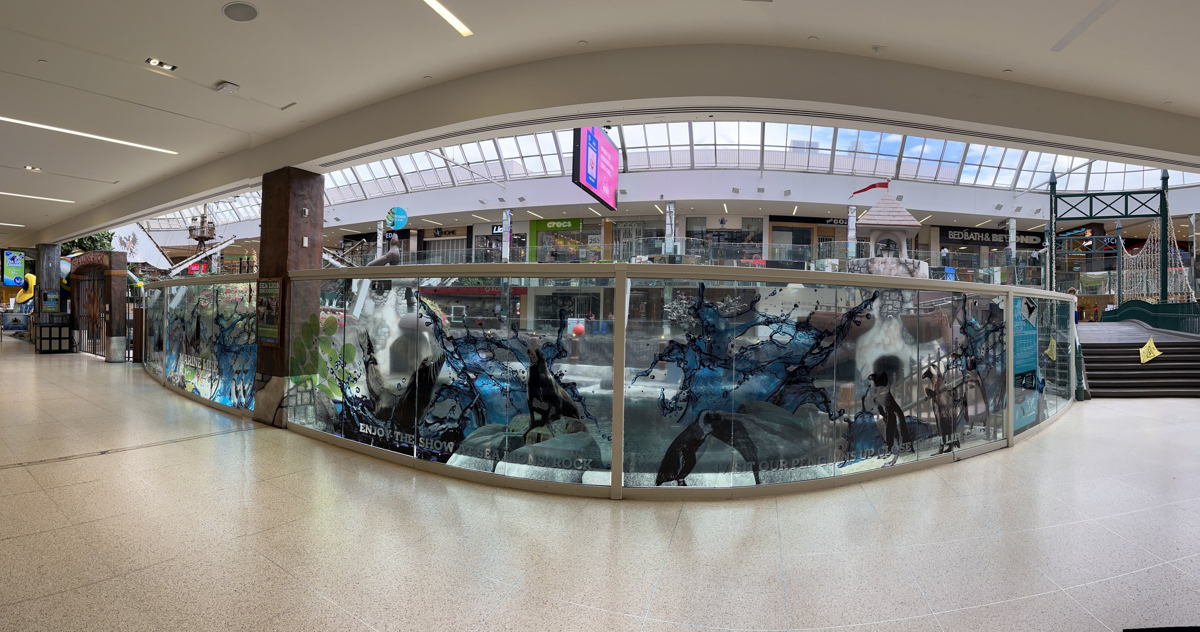 California Sea Lion Exhibit