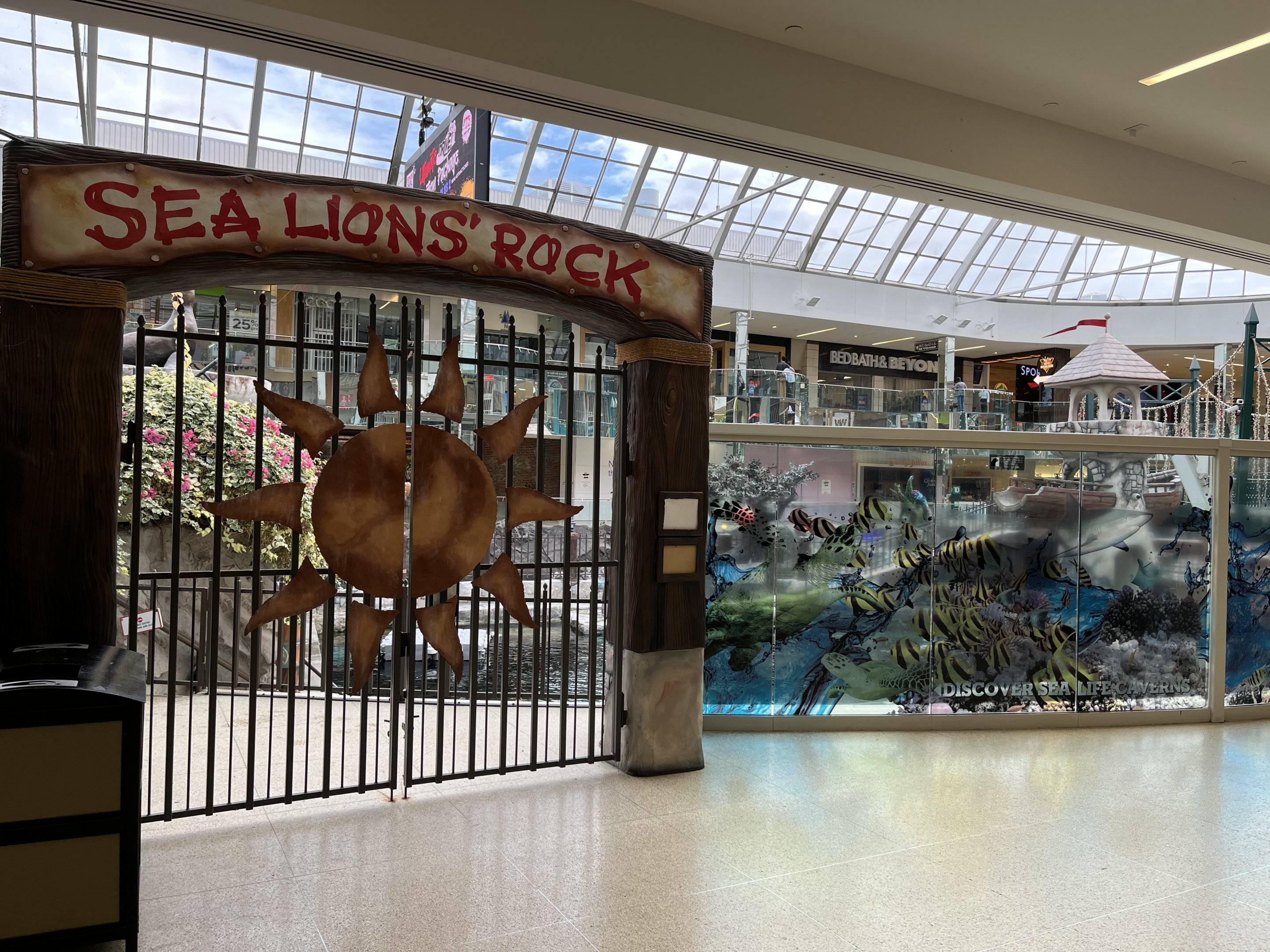 California Sea Lion Exhibit