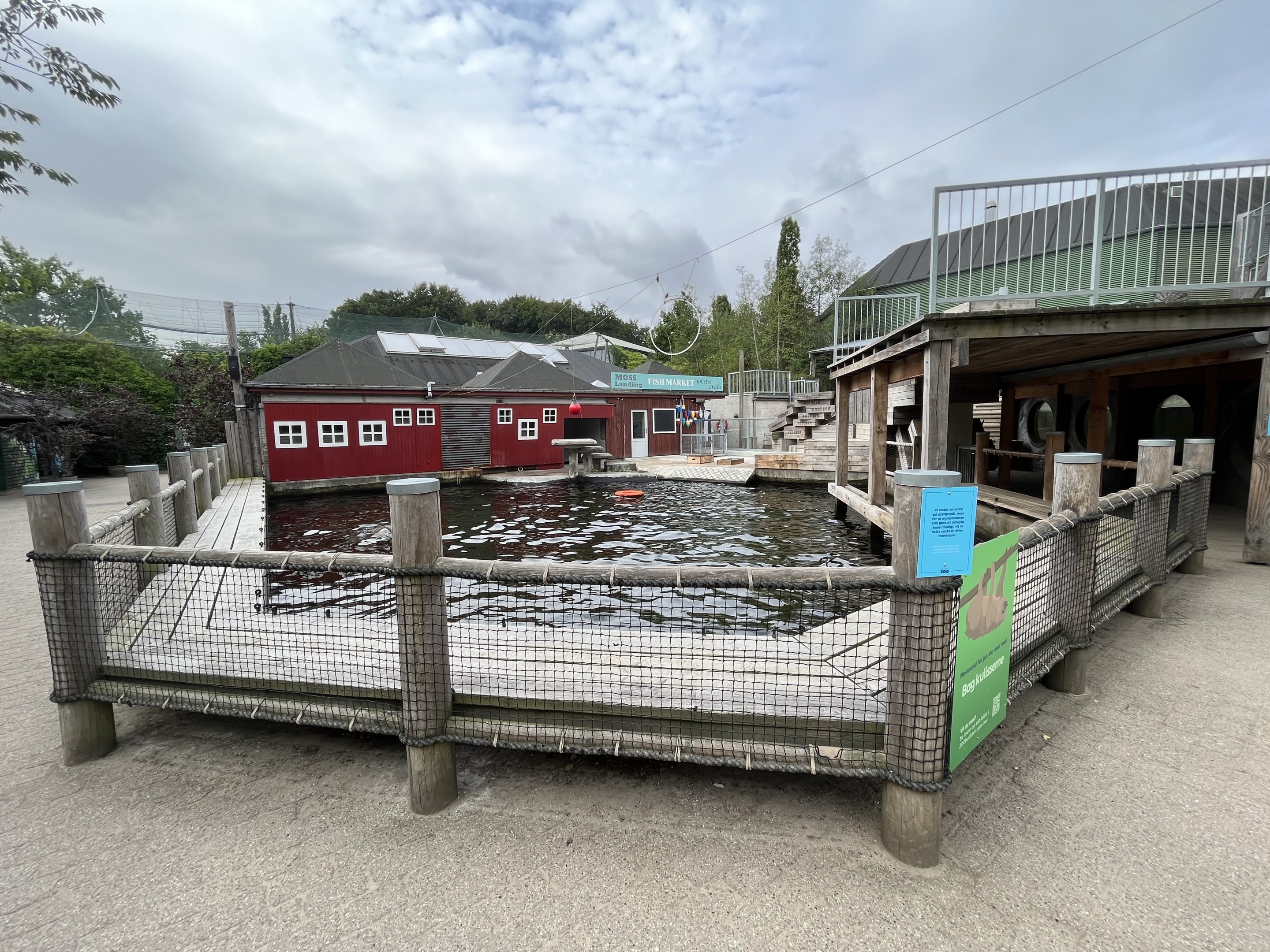 California Sea Lion Exhibit