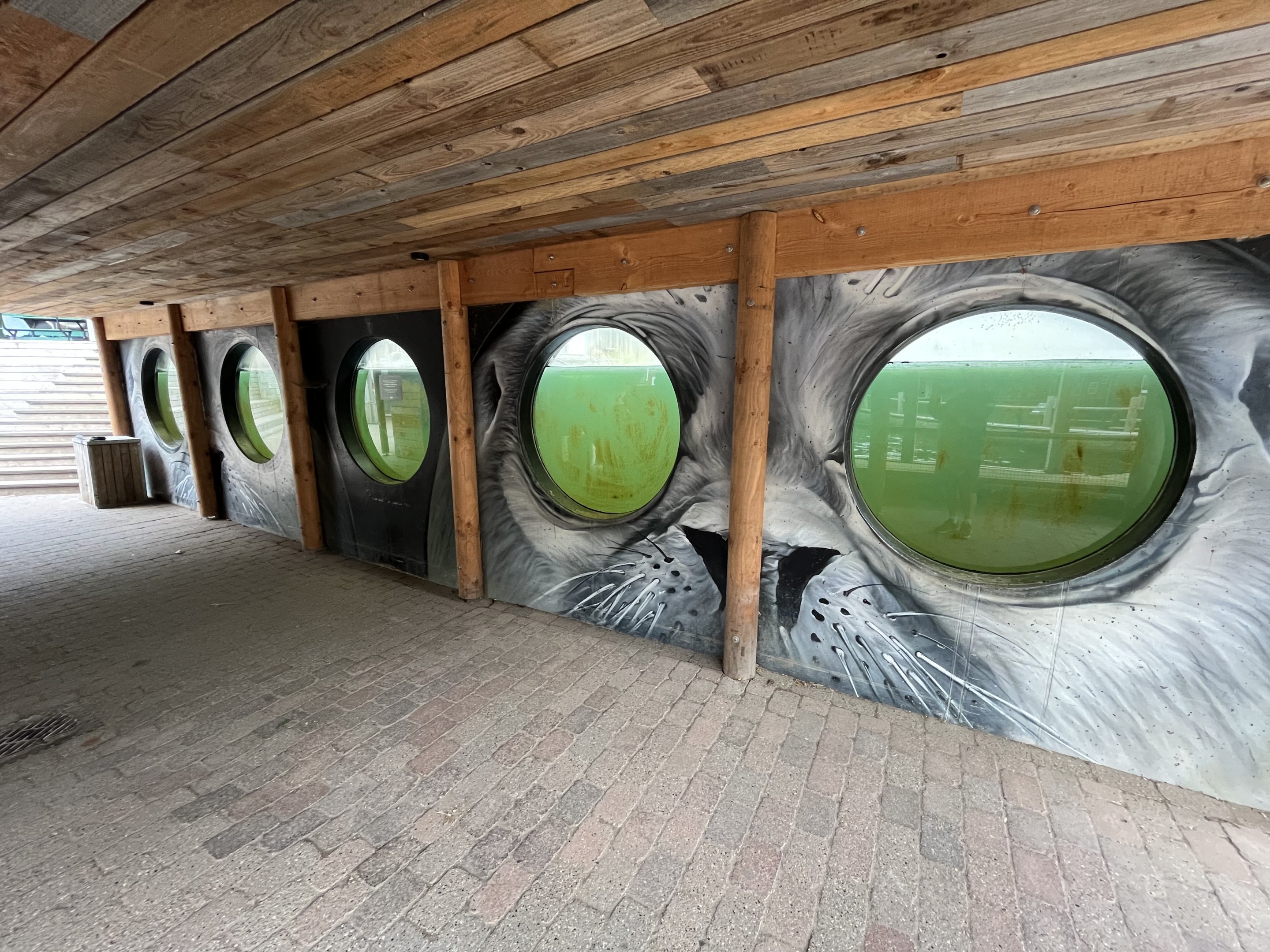 California Sea Lion Exhibit