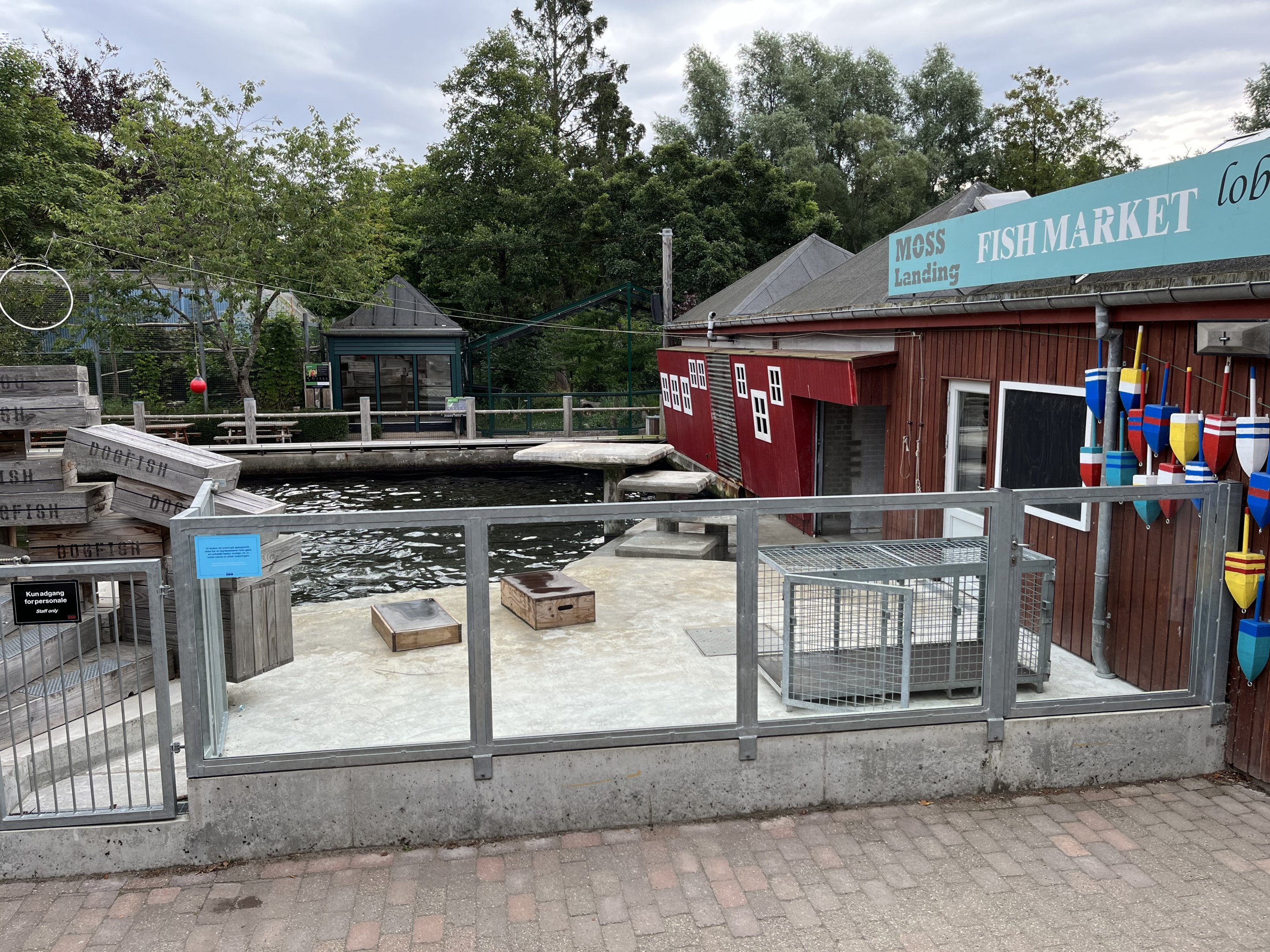 California Sea Lion Exhibit