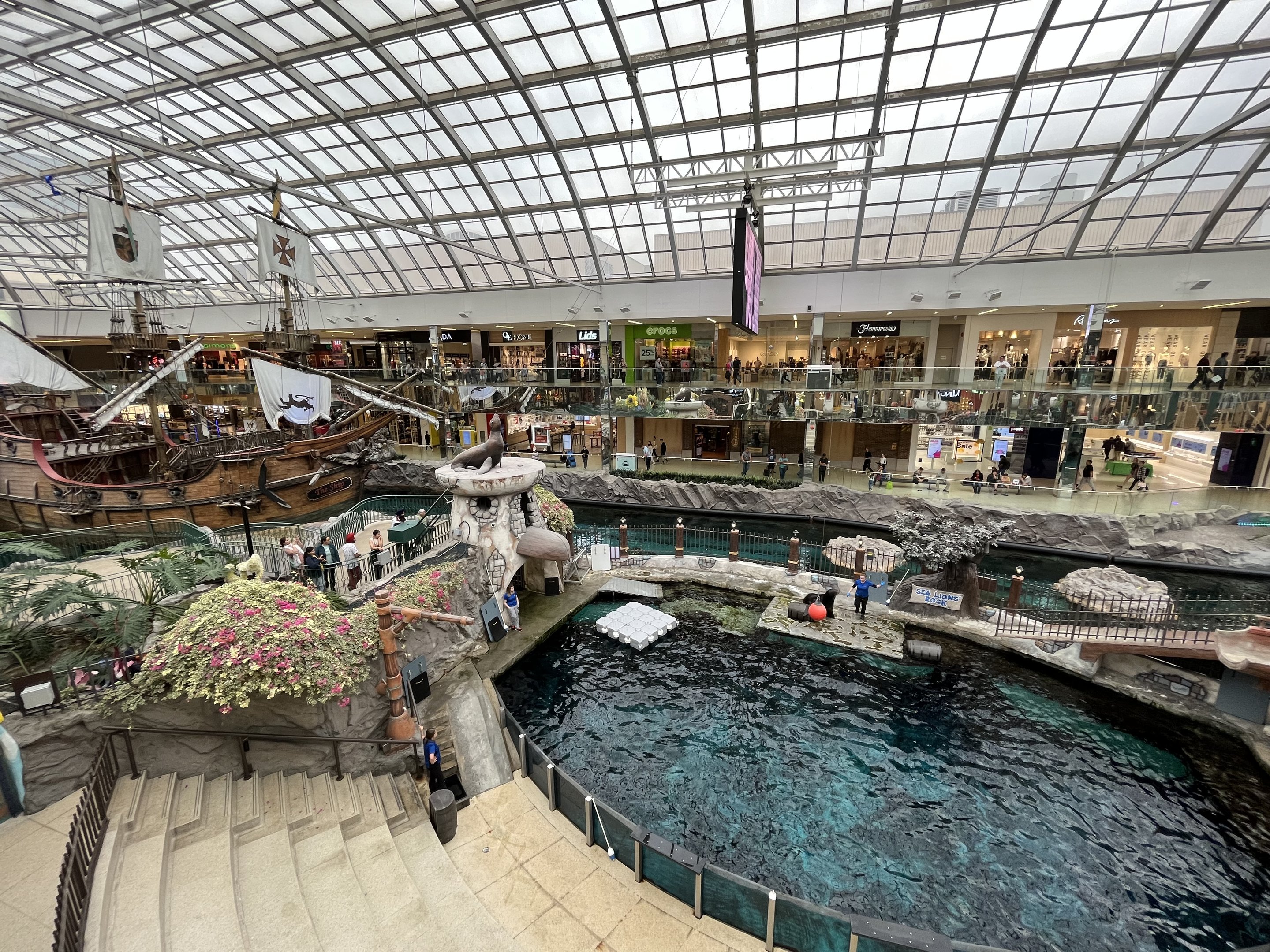 California Sea Lion Exhibit