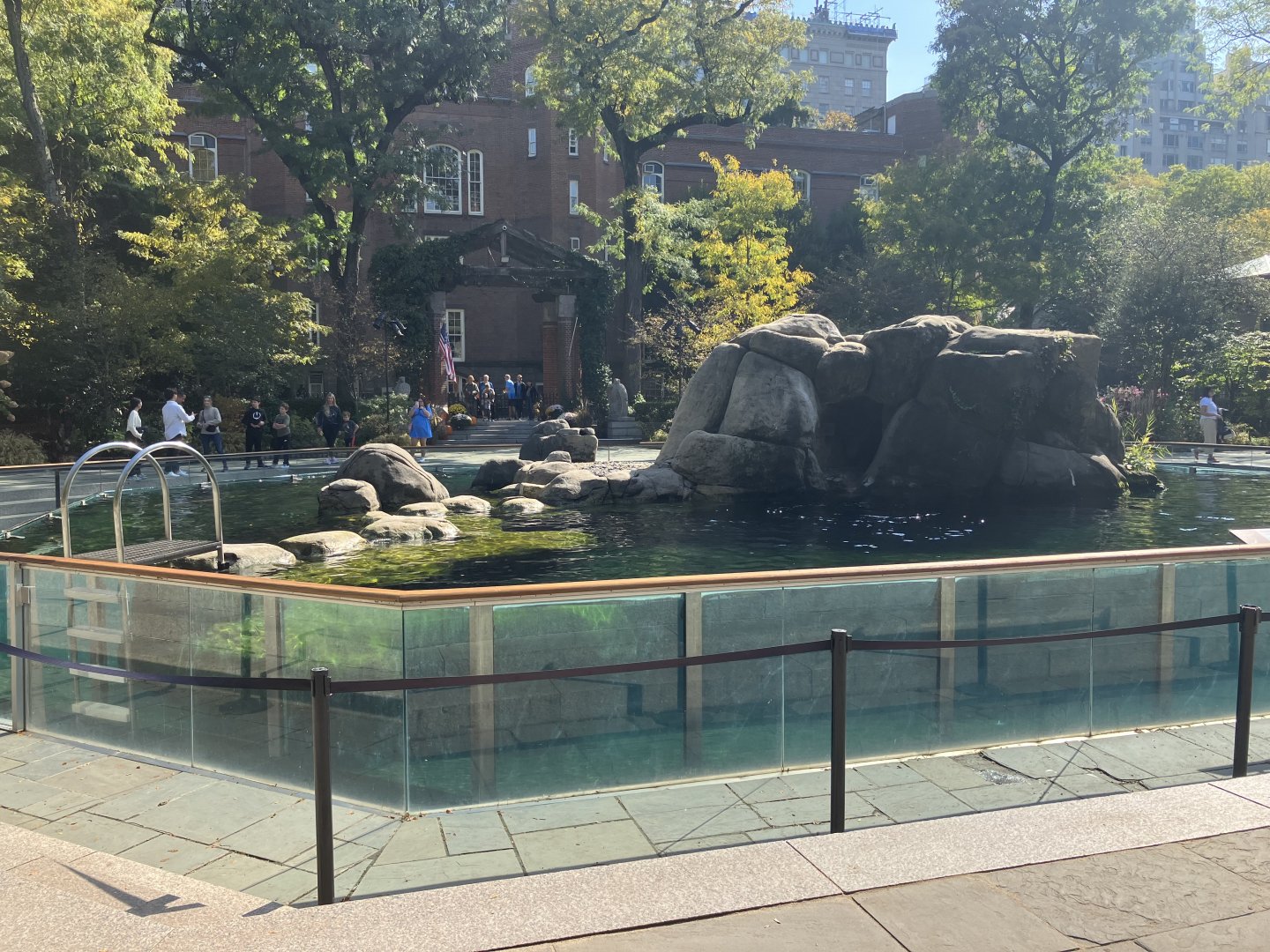 California Sea Lion Exhibit