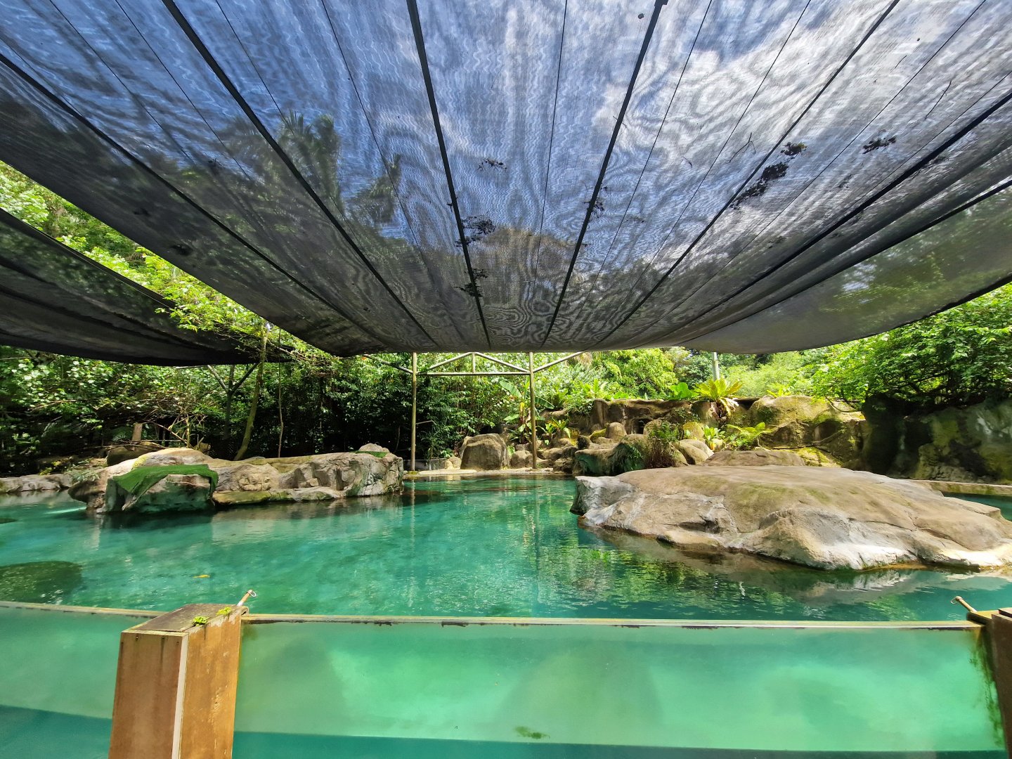 California Sea Lion exhibit