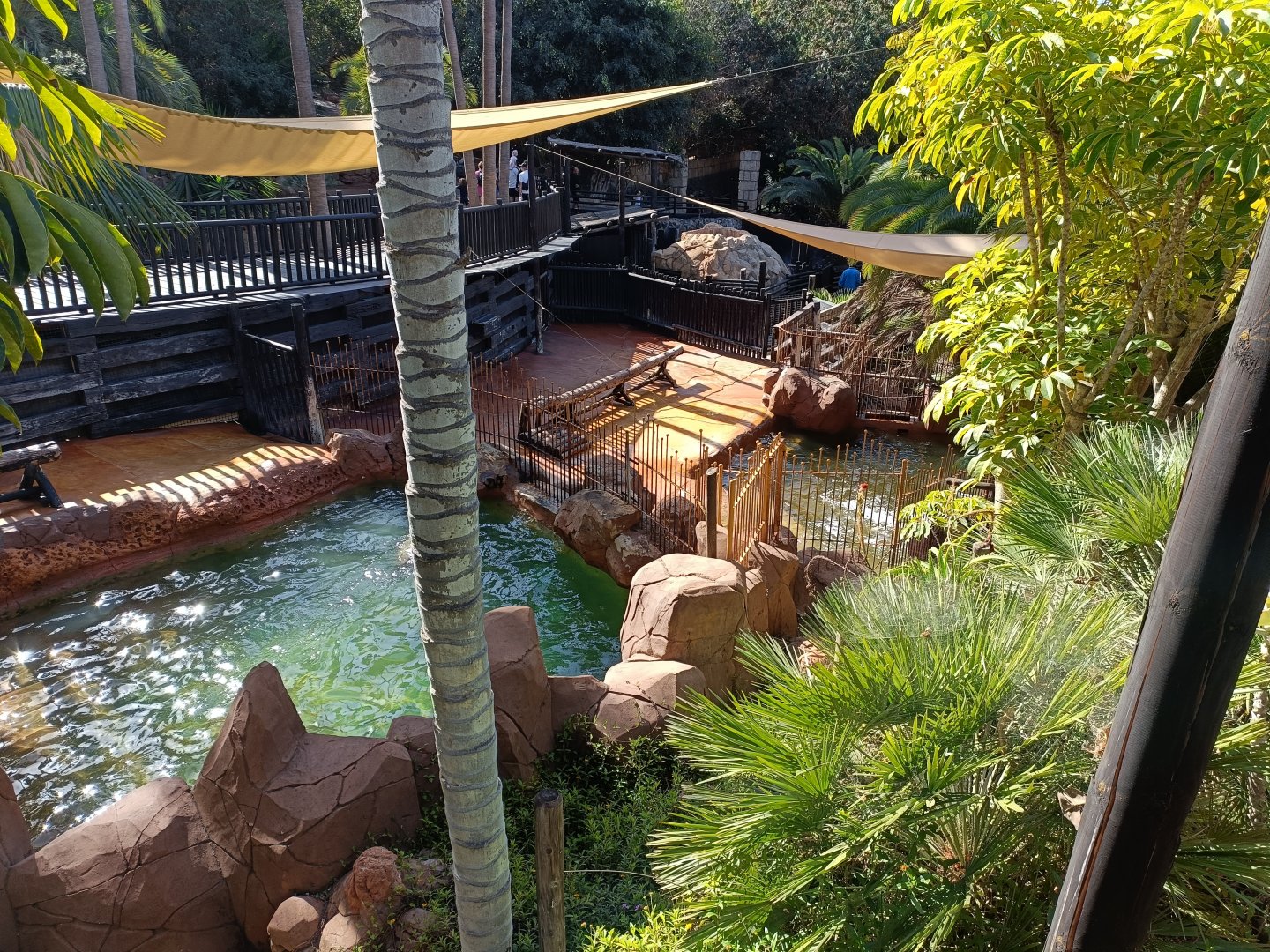 California sea lion exhibit