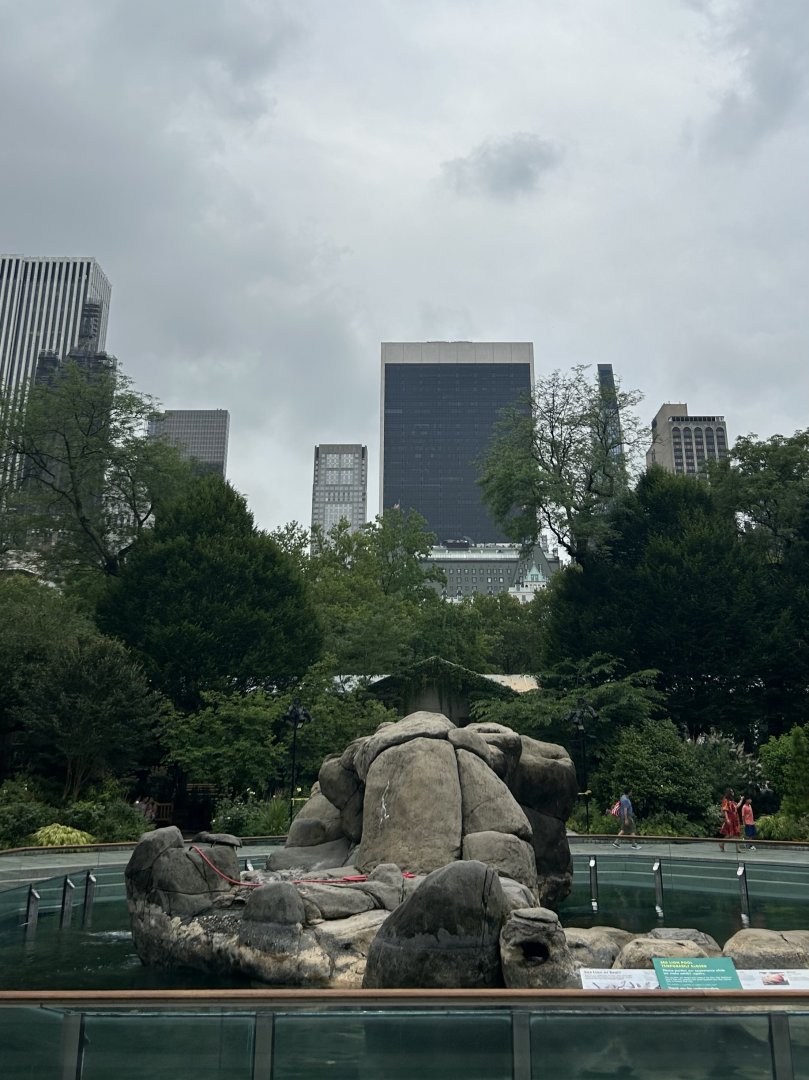 California Sea Lion Exhibit