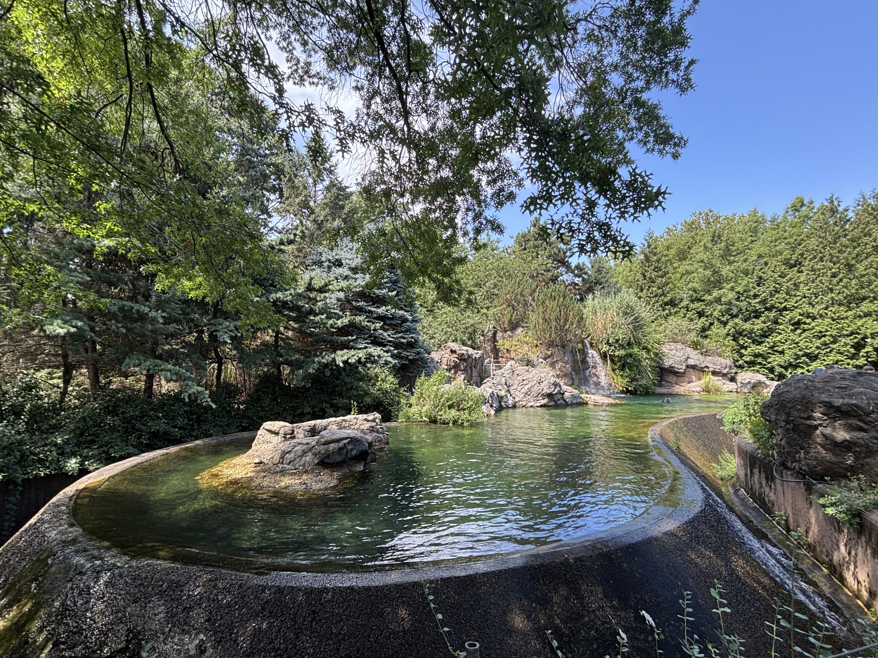 California Sea Lion Exhibit