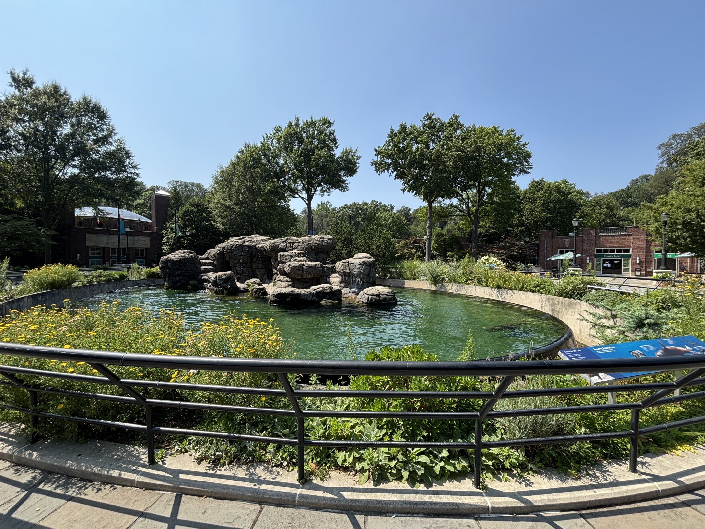 California Sea Lion Exhibit