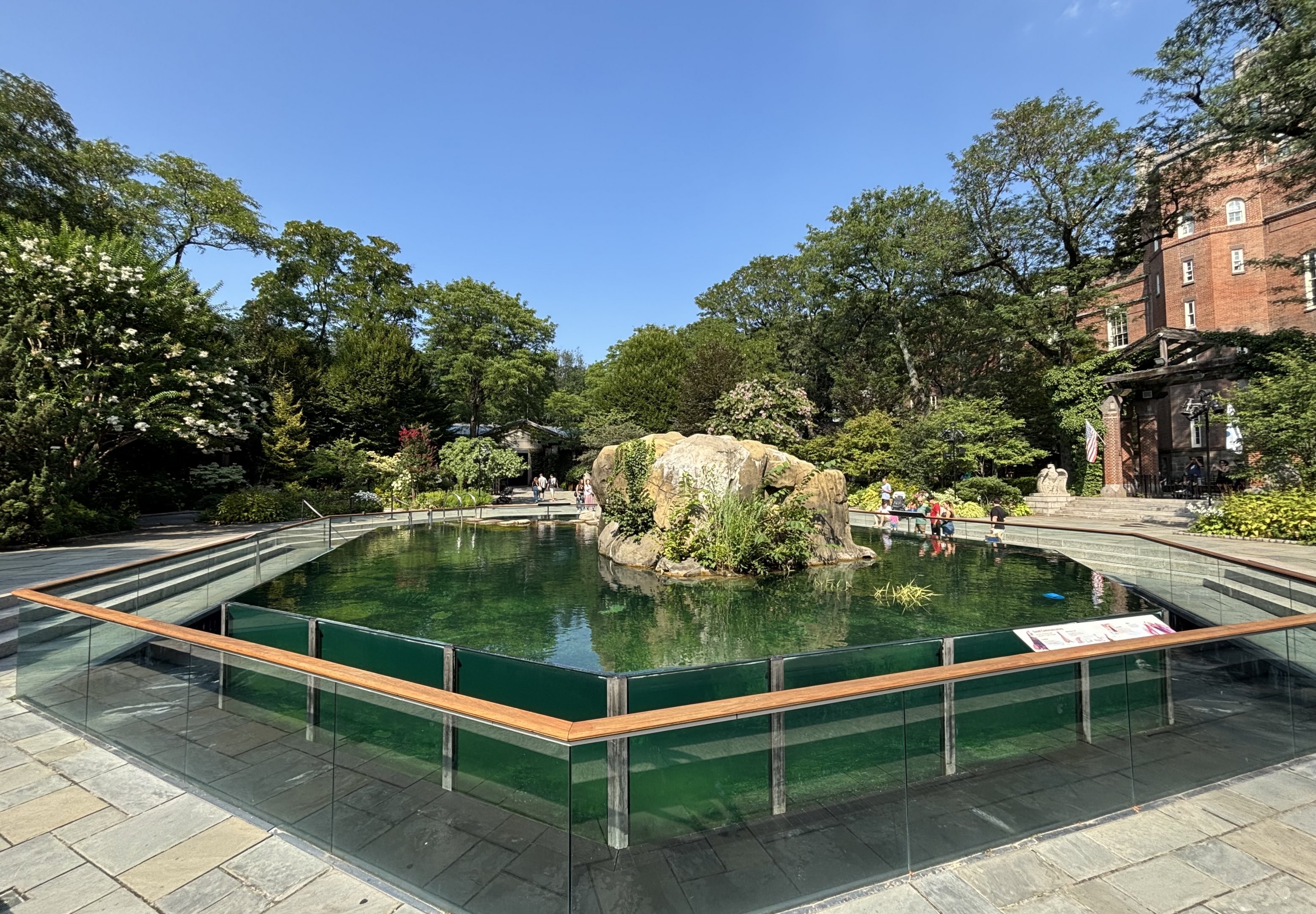 California Sea Lion Exhibit