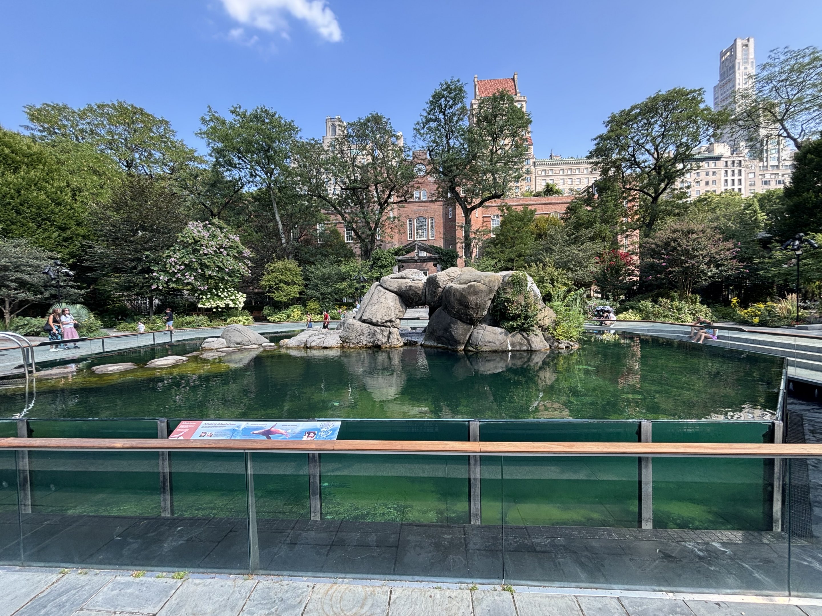 California Sea Lion Exhibit