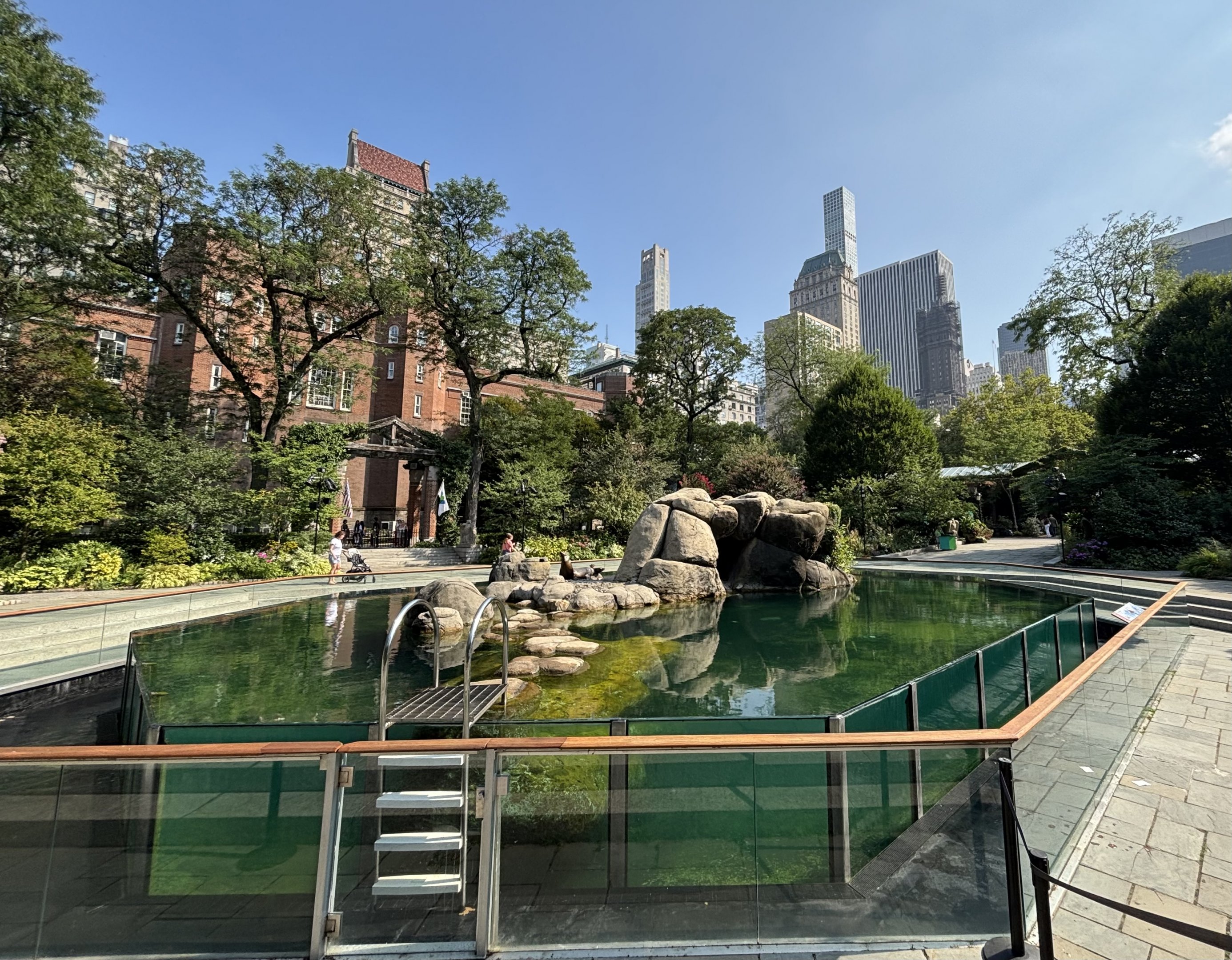California Sea Lion Exhibit