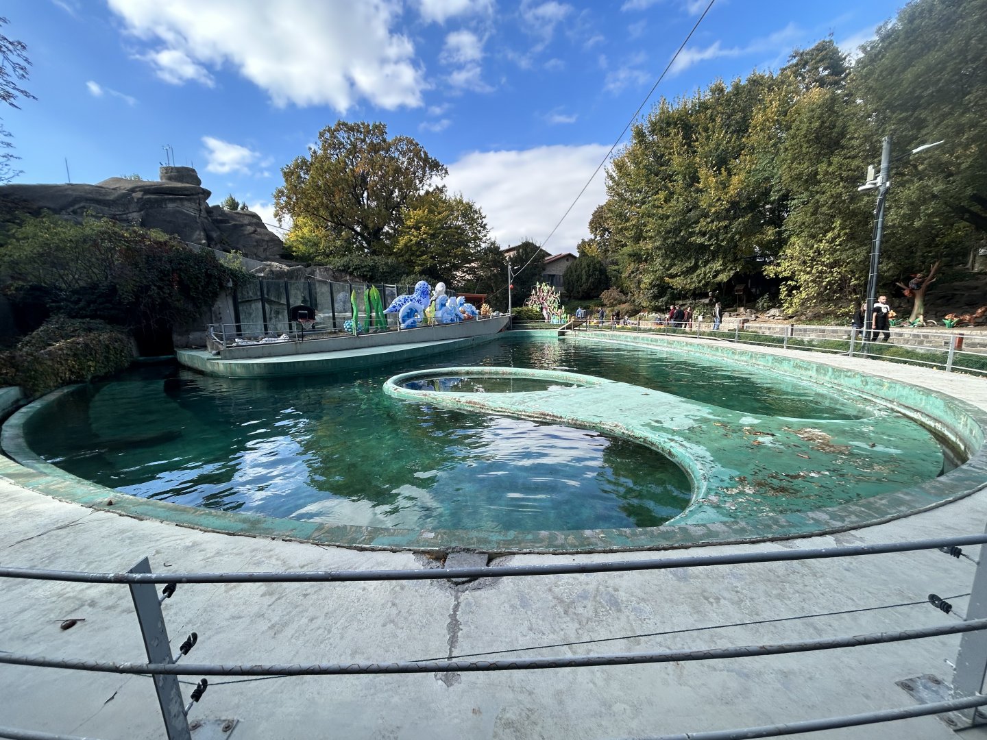 California Sea Lion Exhibit