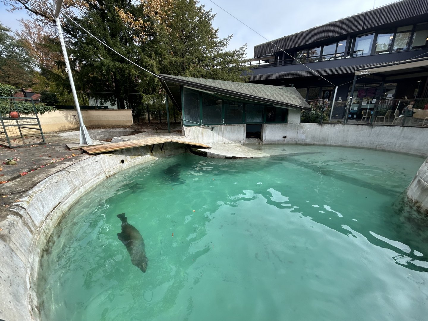 California Sea Lion Exhibit