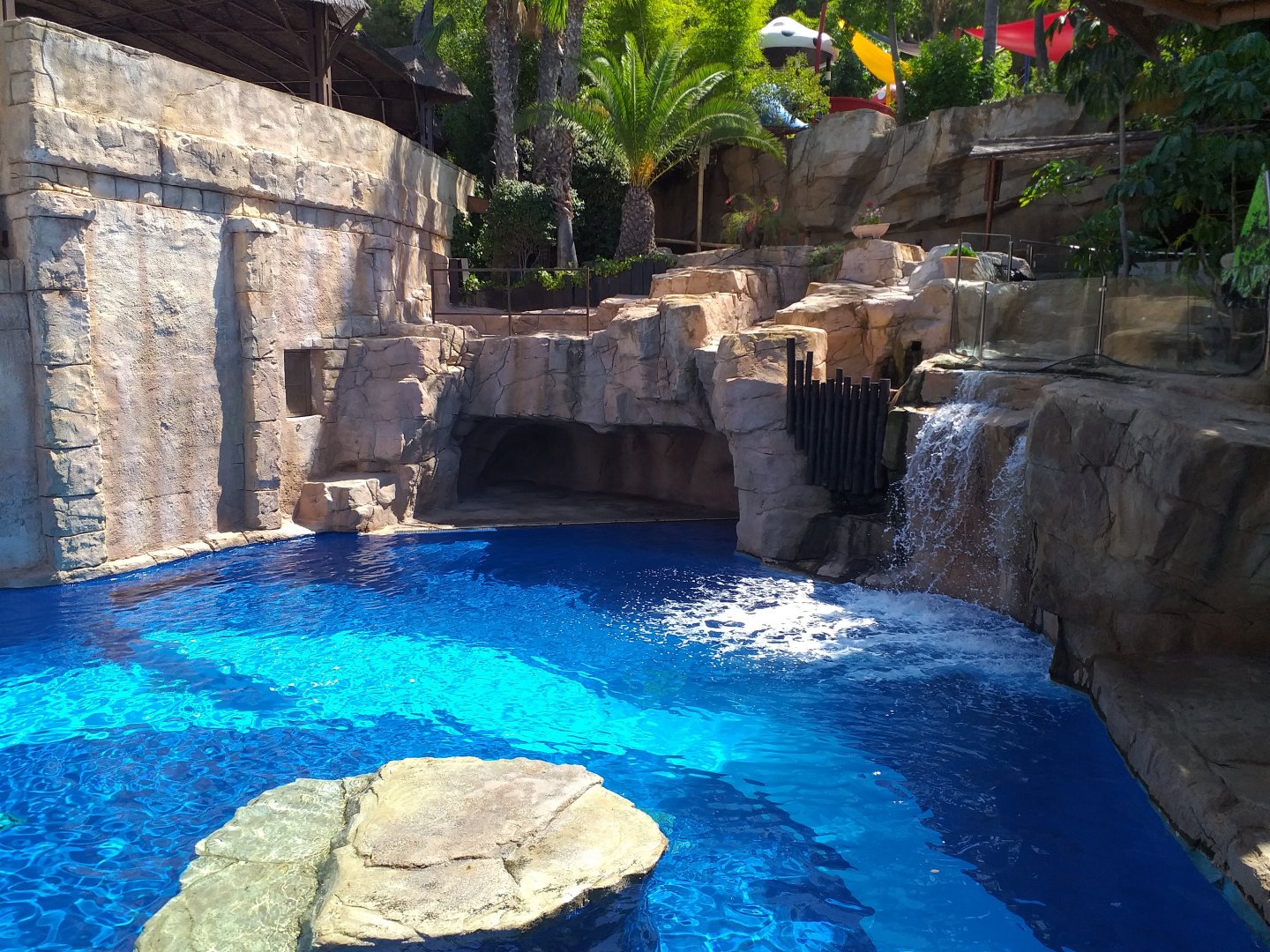 California sea lion first exhibit -MundoMar Benidorm (2021)