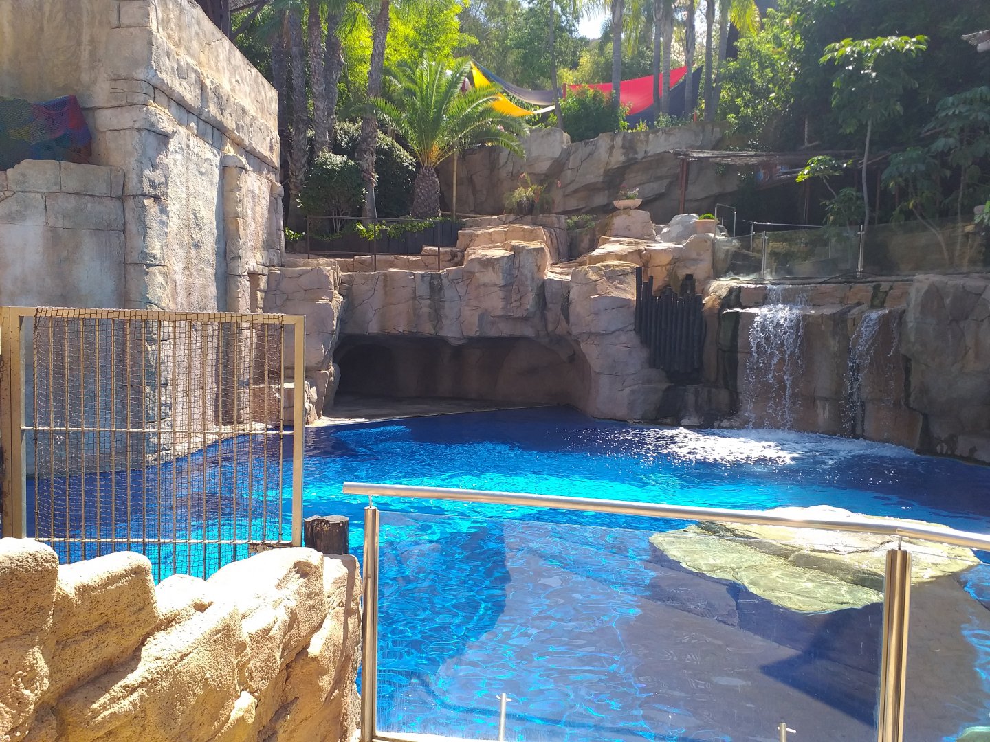 California sea lion first exhibit -MundoMar Benidorm (2021)