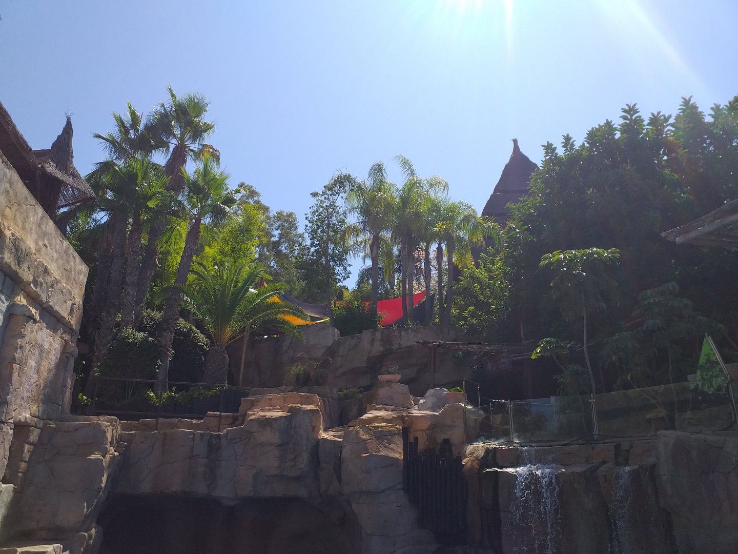 California sea lion first exhibit -MundoMar Benidorm (2021)