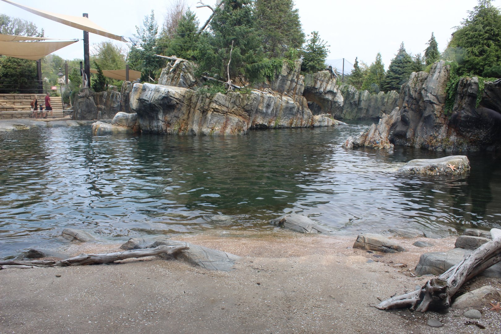 California Sea Lion & Harbor Seal Exhibit - Sea Lion Shores